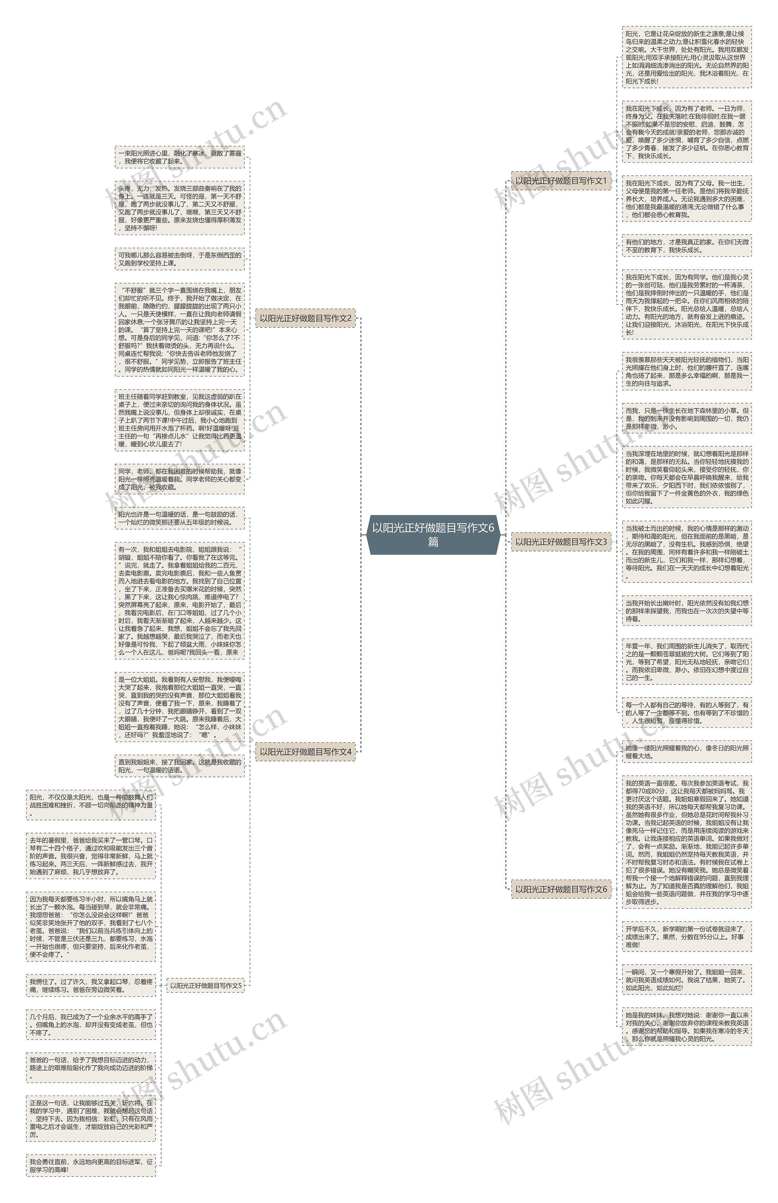 以阳光正好做题目写作文6篇思维导图