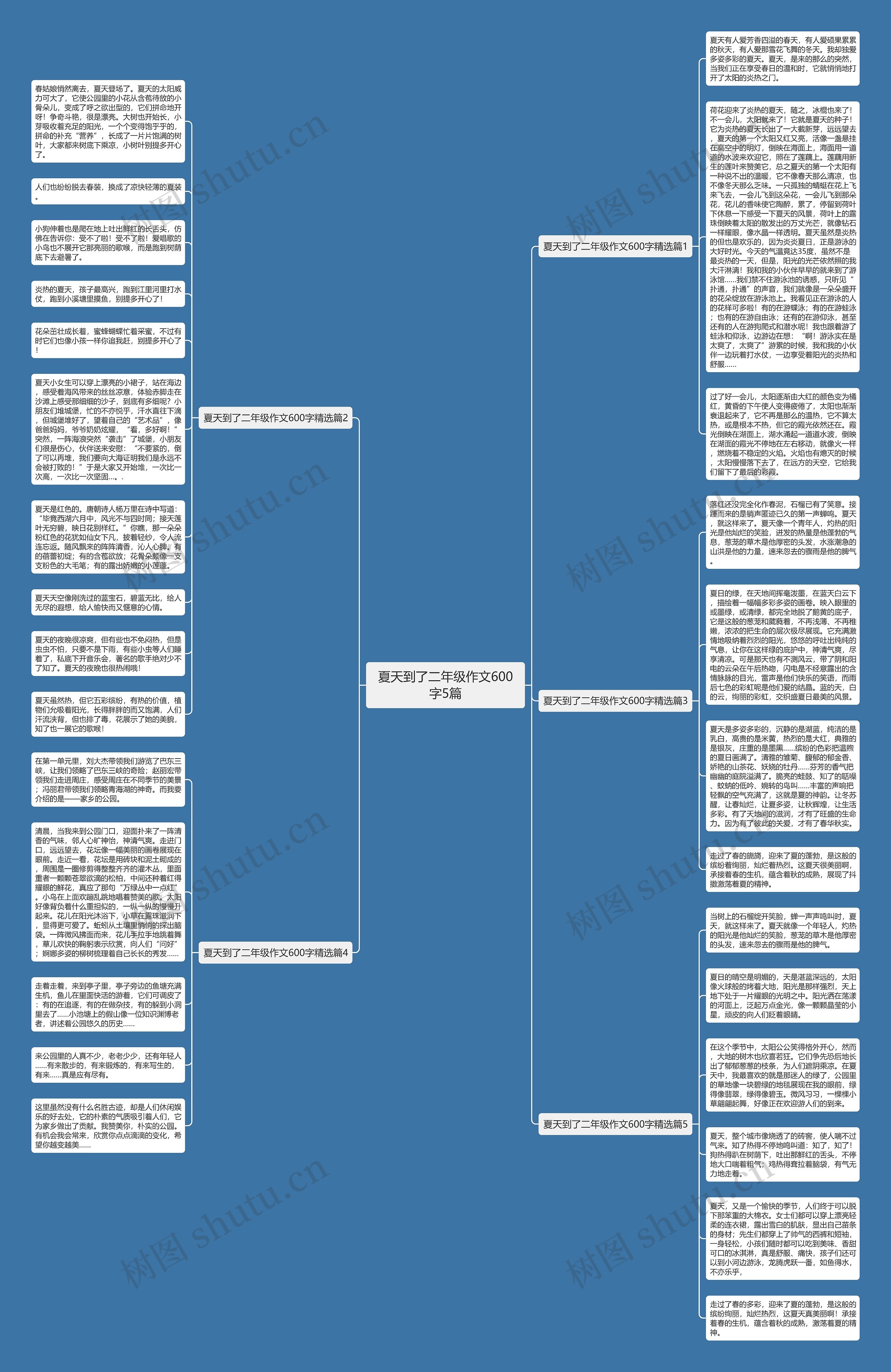 夏天到了二年级作文600字5篇思维导图