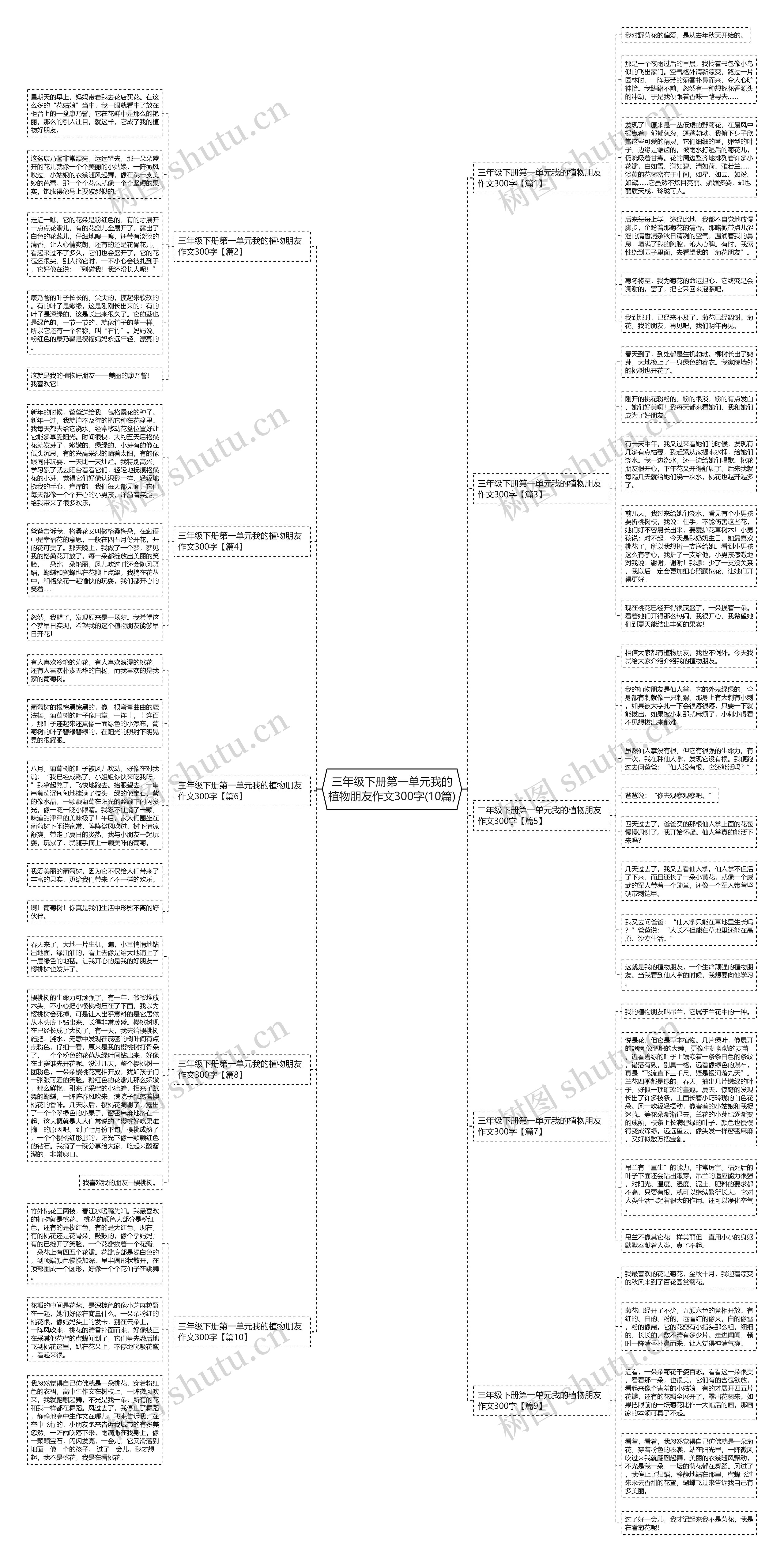 三年级下册第一单元我的植物朋友作文300字(10篇)