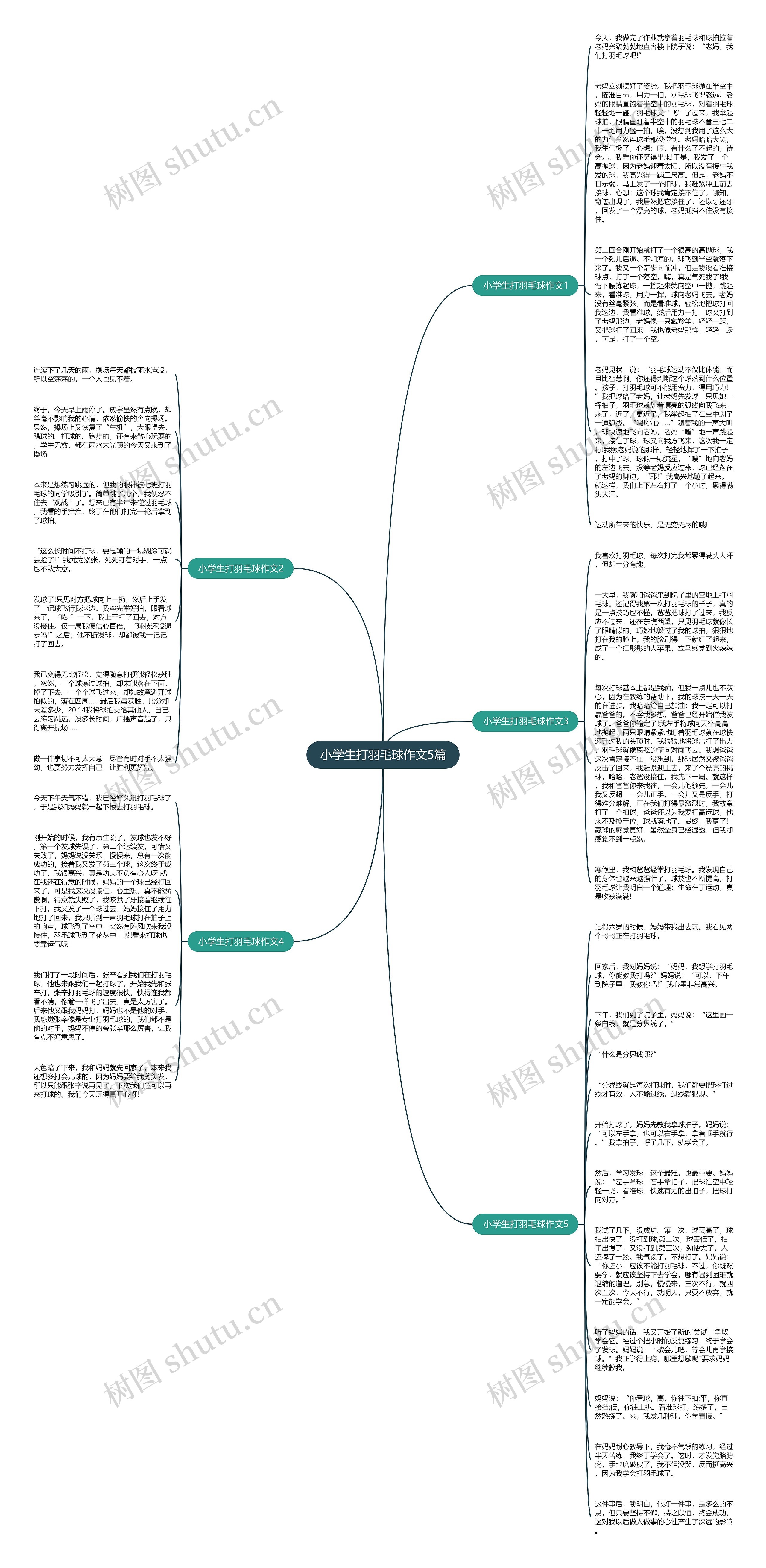 小学生打羽毛球作文5篇思维导图