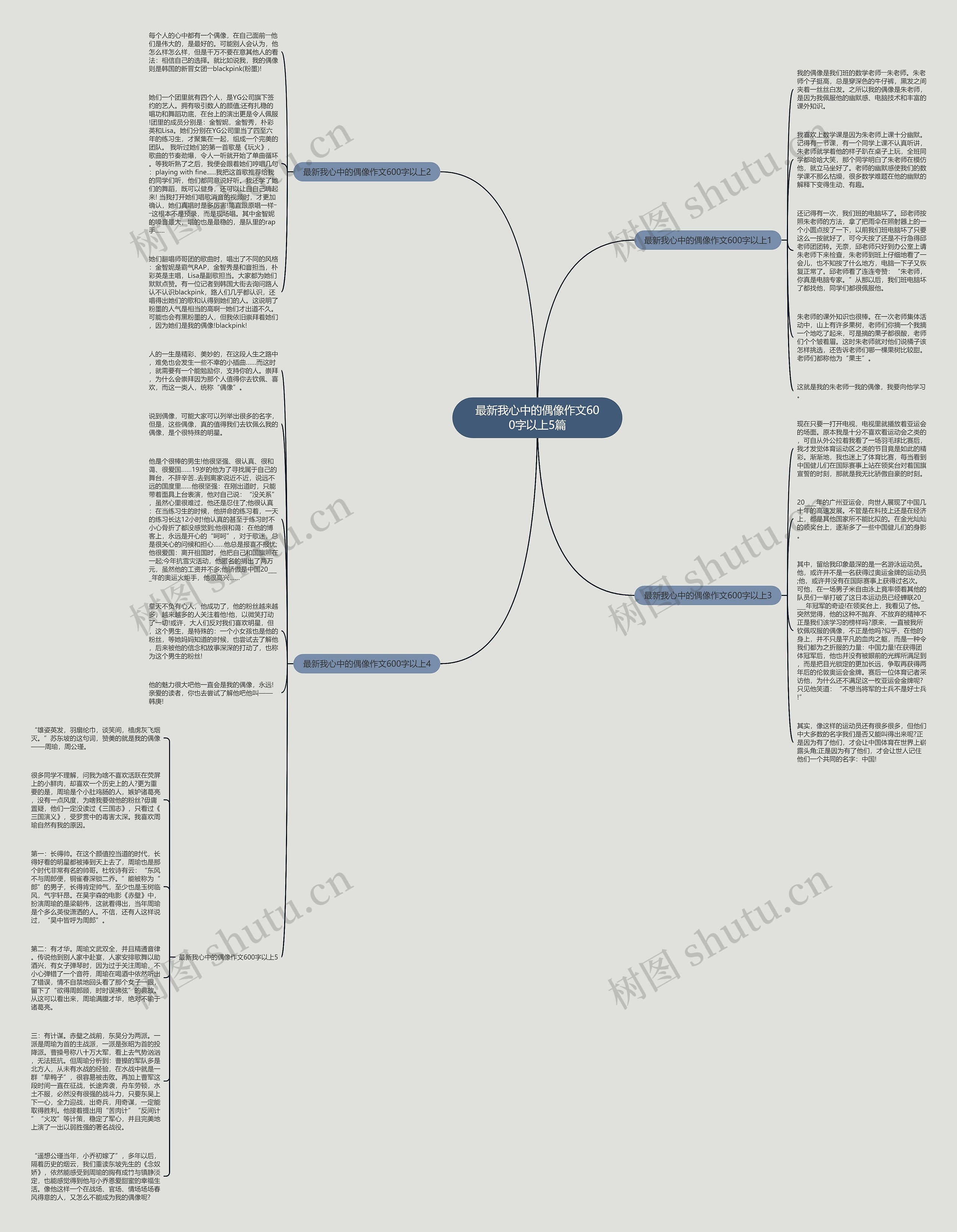 最新我心中的偶像作文600字以上5篇思维导图