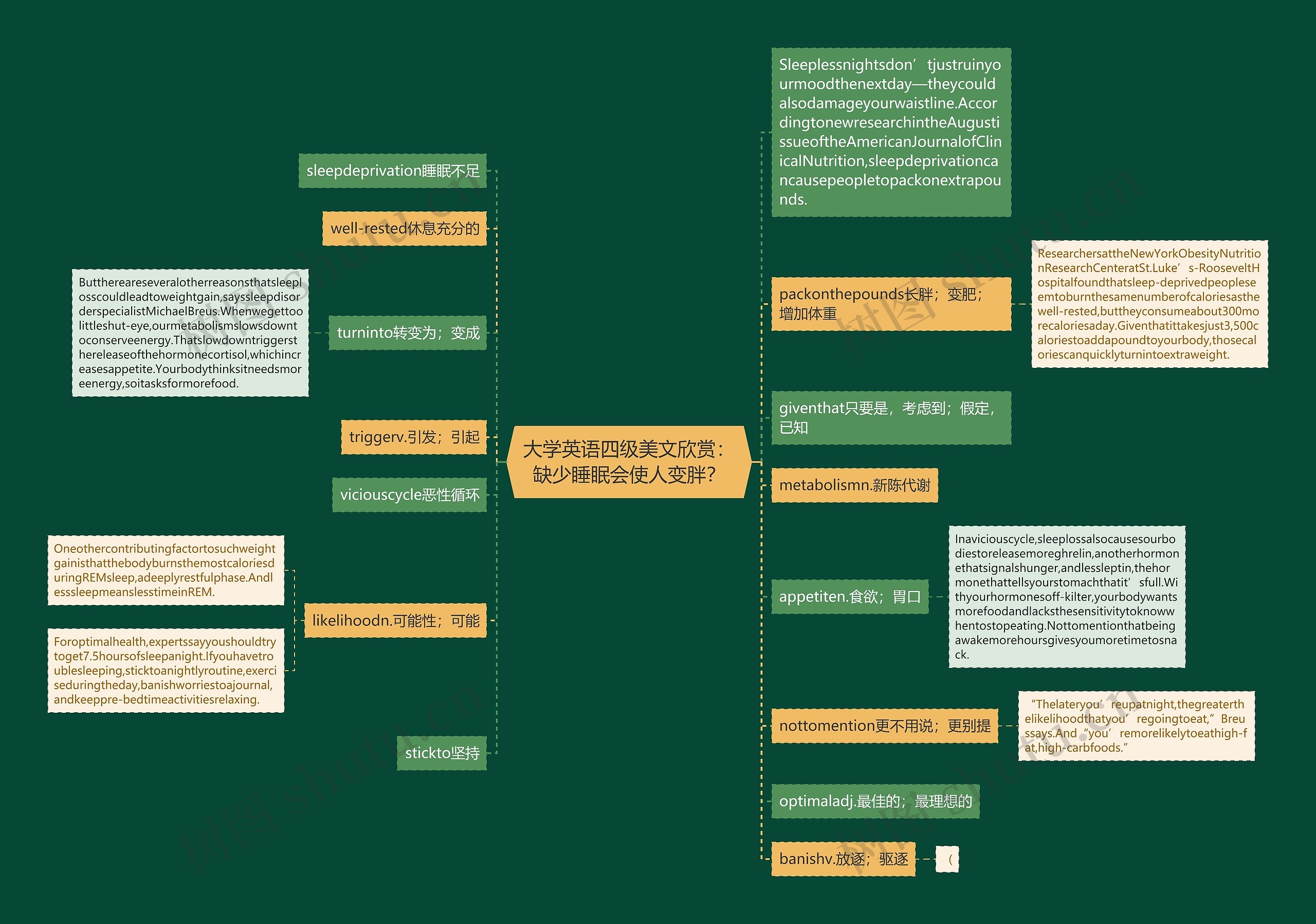 大学英语四级美文欣赏：缺少睡眠会使人变胖？思维导图
