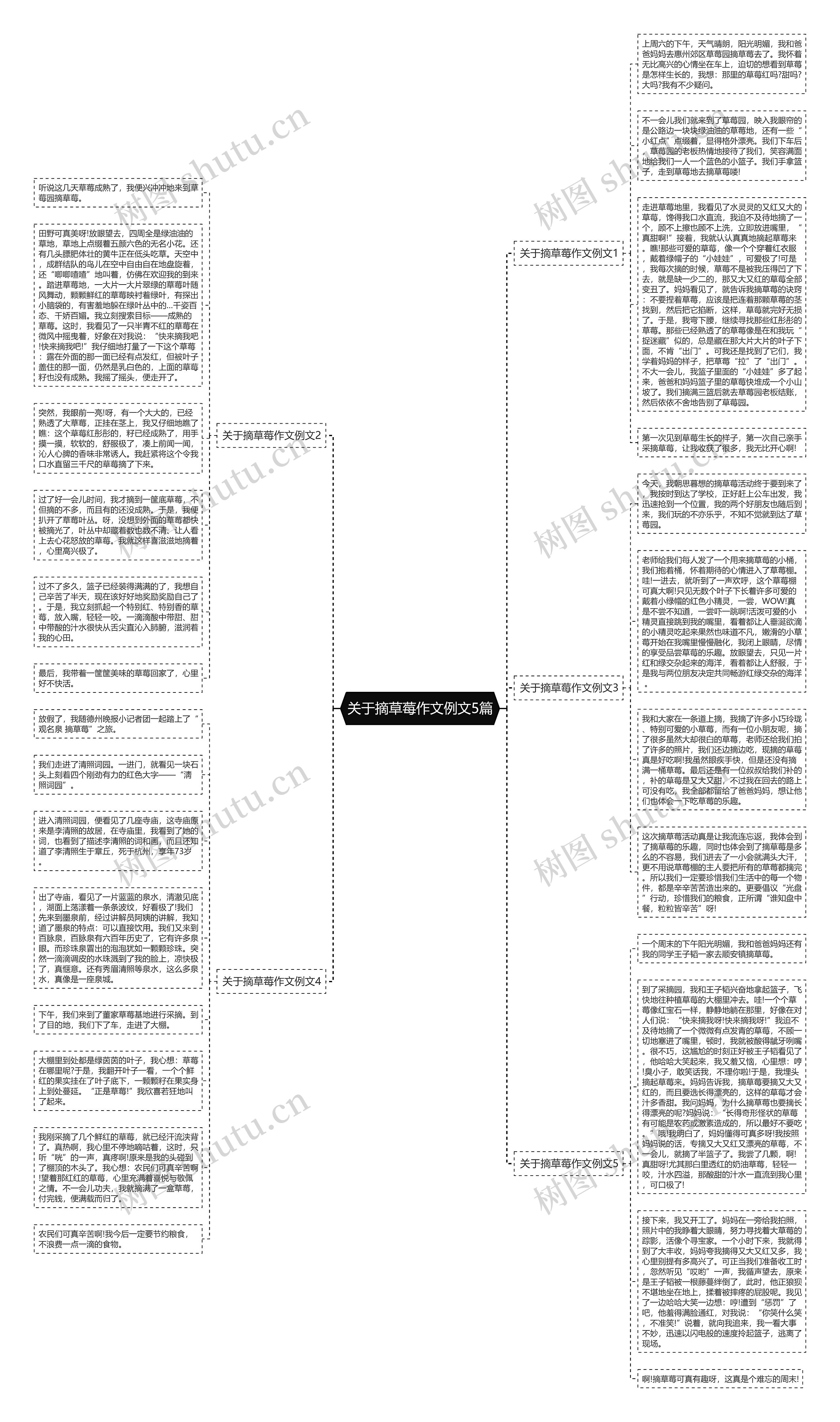 关于摘草莓作文例文5篇思维导图