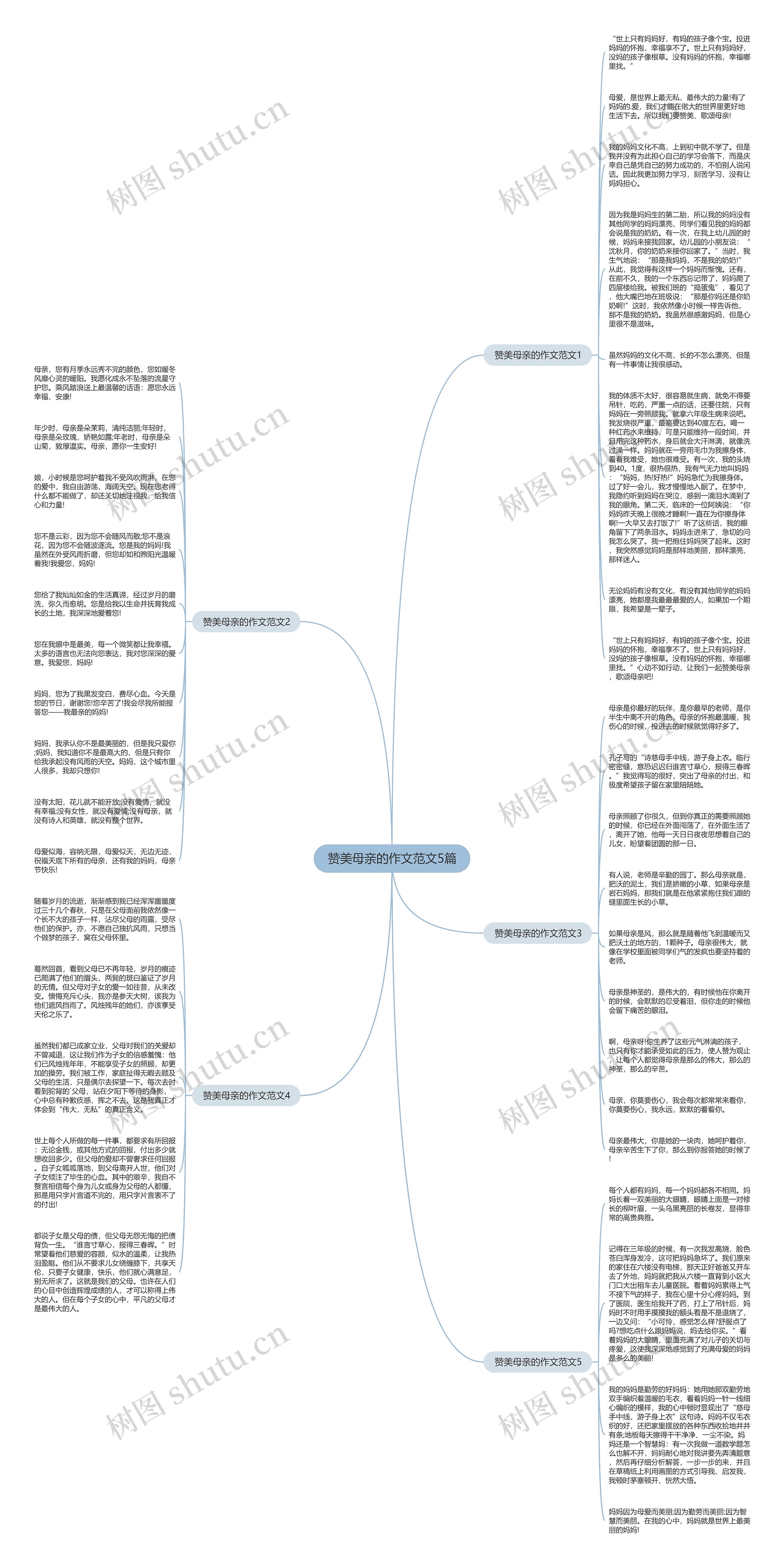 赞美母亲的作文范文5篇思维导图