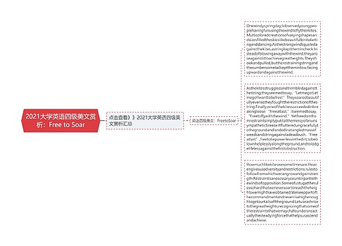 2021大学英语四级美文赏析：Free to Soar