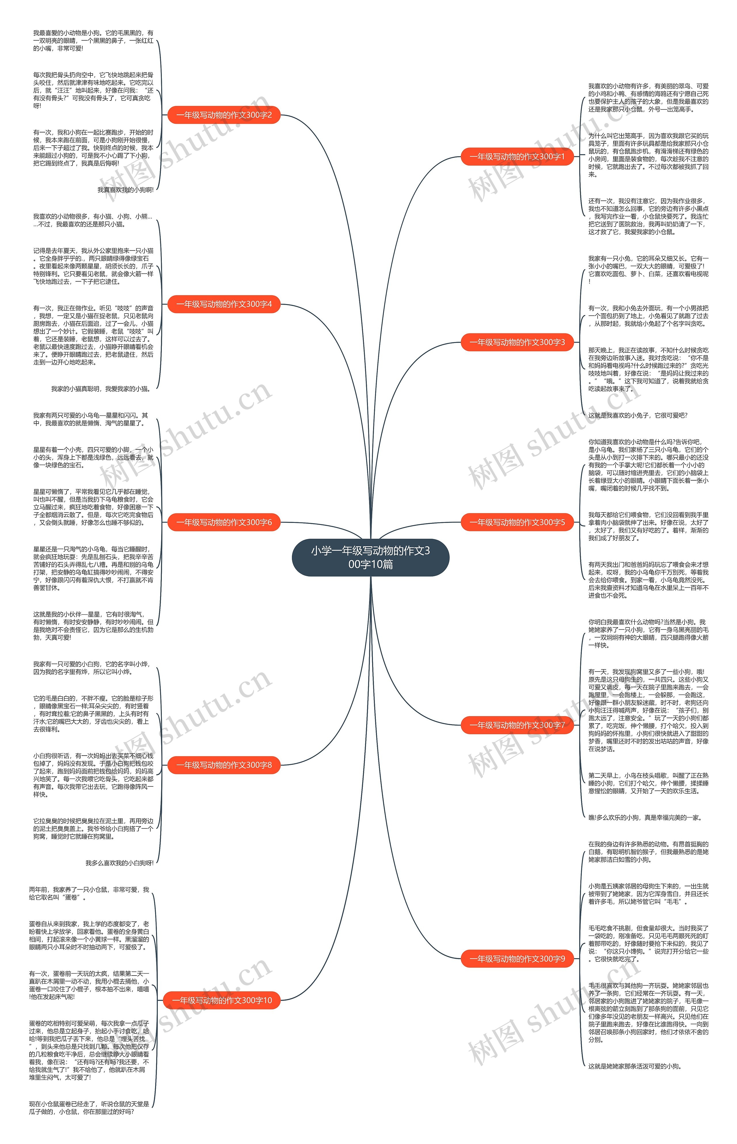 小学一年级写动物的作文300字10篇思维导图