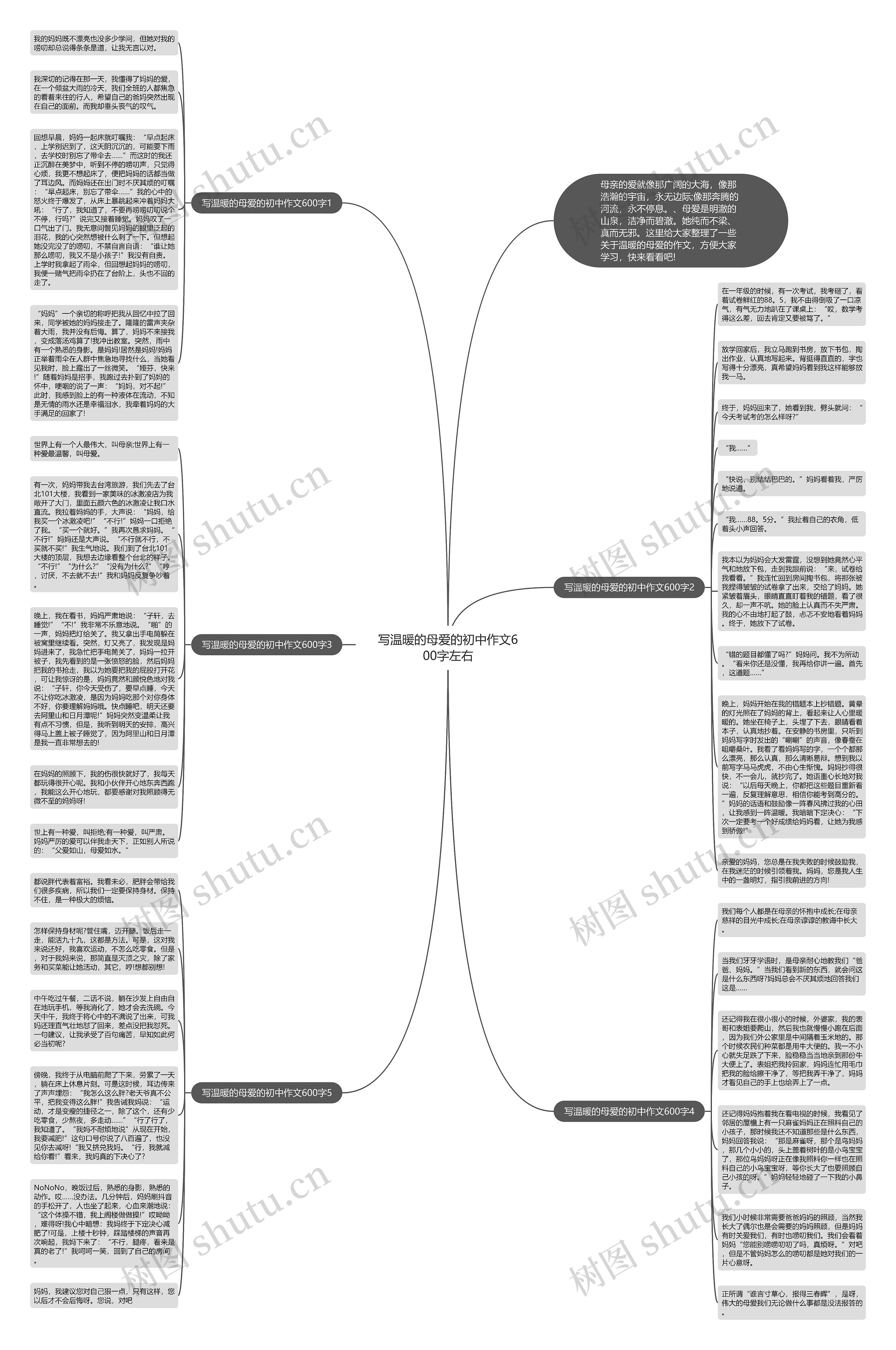 写温暖的母爱的初中作文600字左右