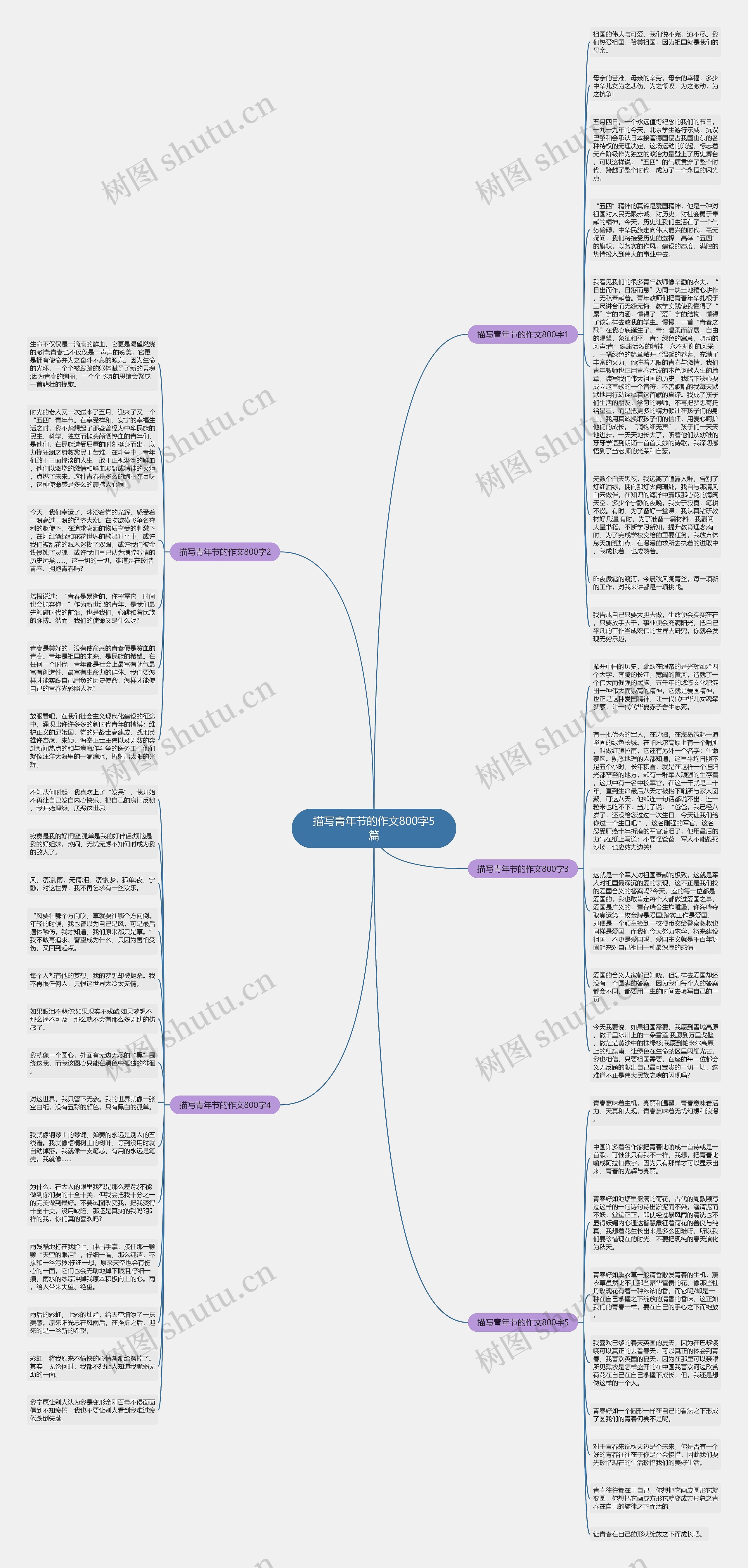 描写青年节的作文800字5篇思维导图