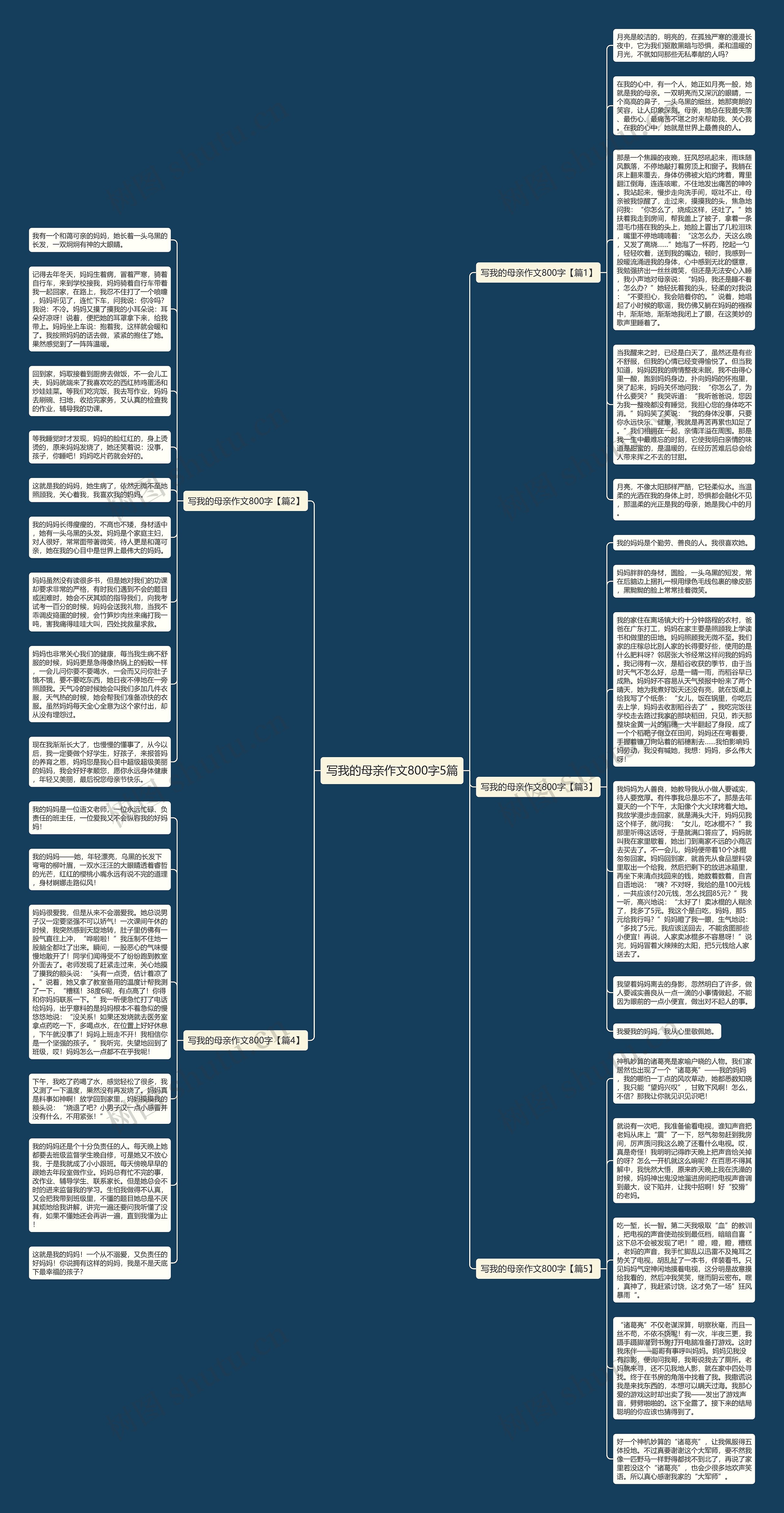 写我的母亲作文800字5篇思维导图