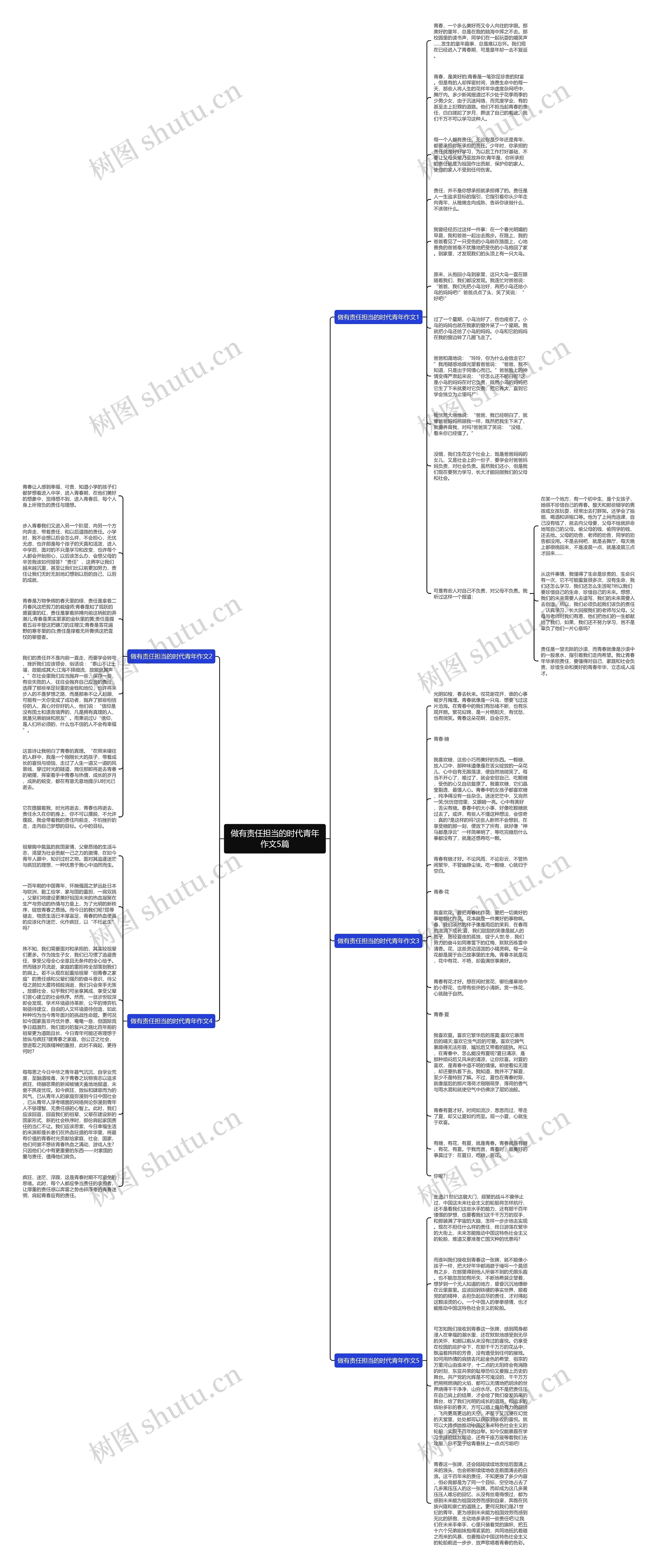 做有责任担当的时代青年作文5篇思维导图