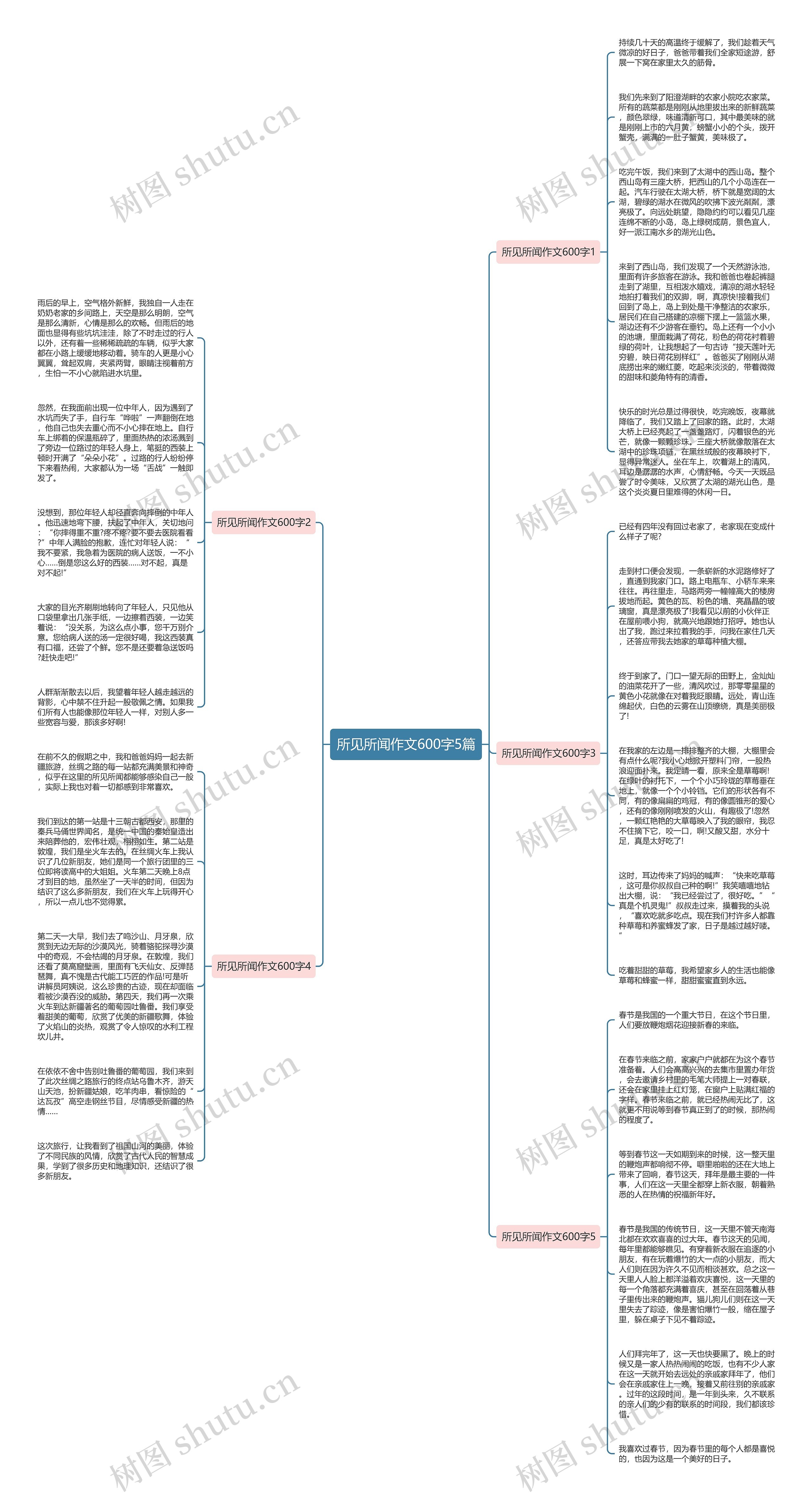 所见所闻作文600字5篇思维导图