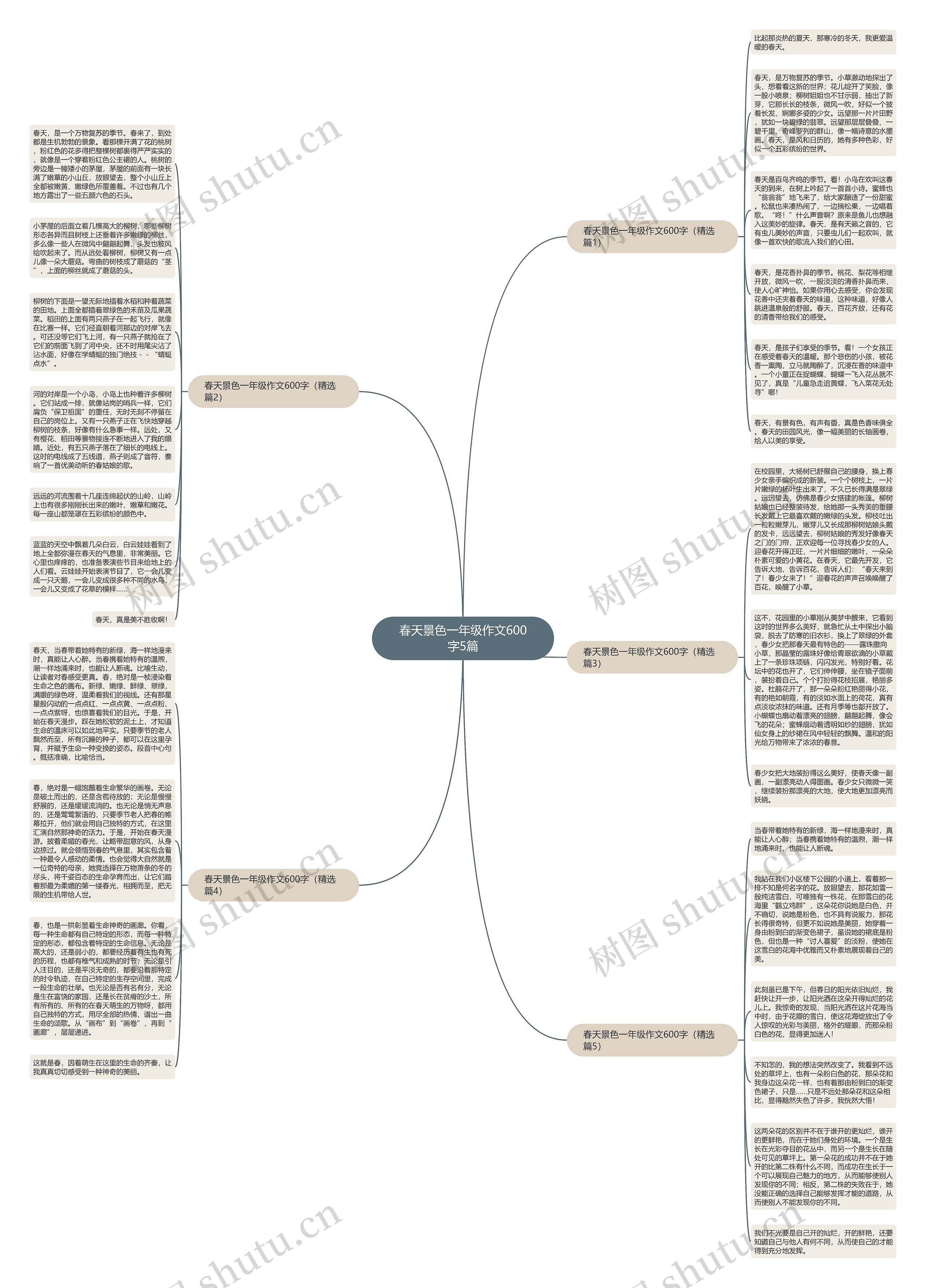 春天景色一年级作文600字5篇思维导图