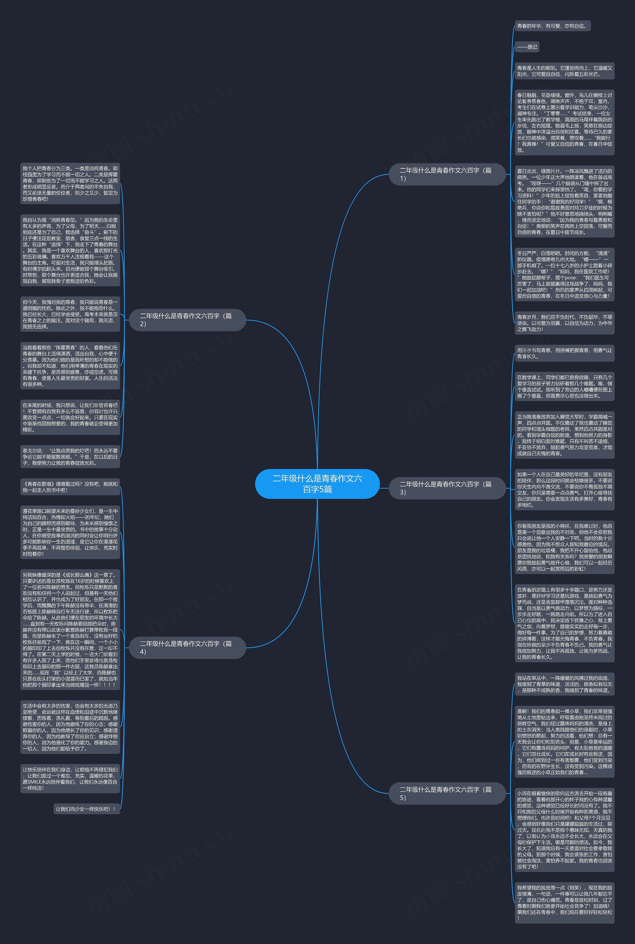 二年级什么是青春作文六百字5篇思维导图