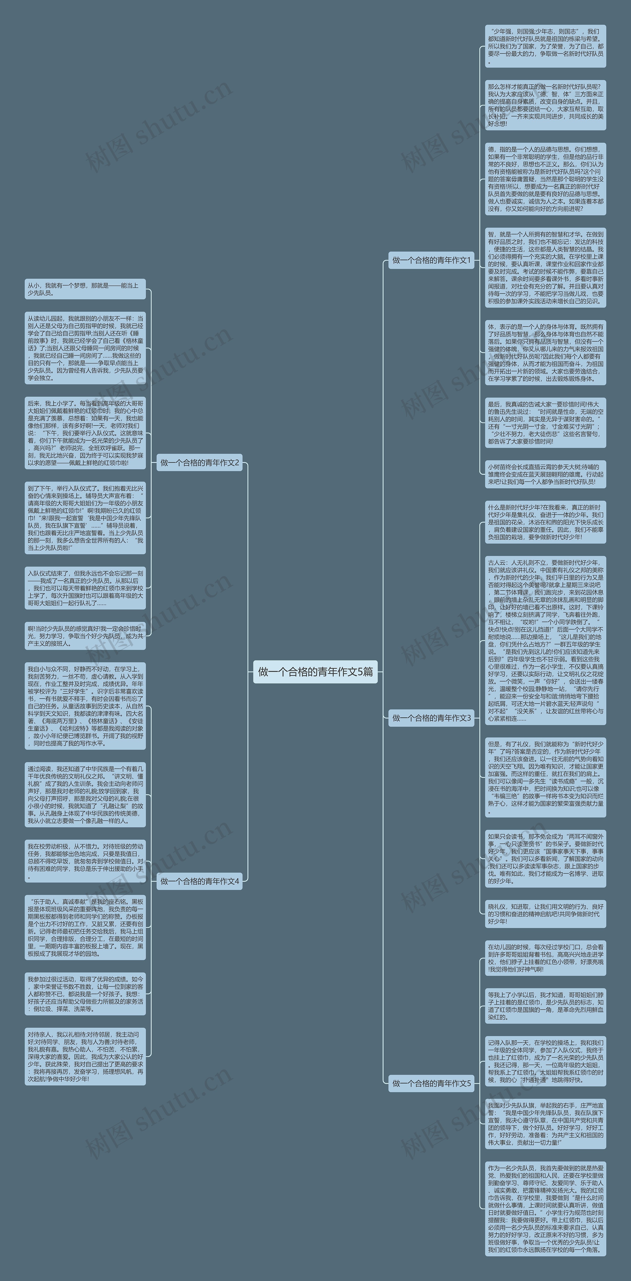 做一个合格的青年作文5篇思维导图