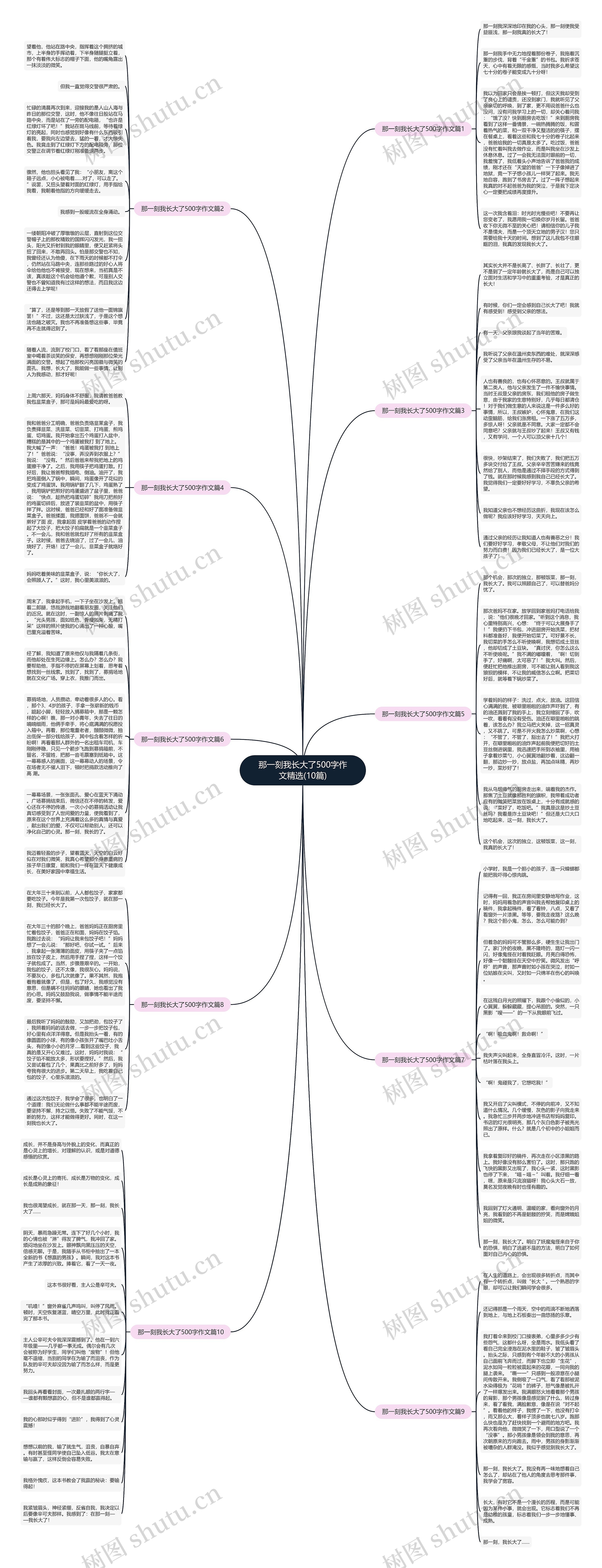 那一刻我长大了500字作文精选(10篇)思维导图