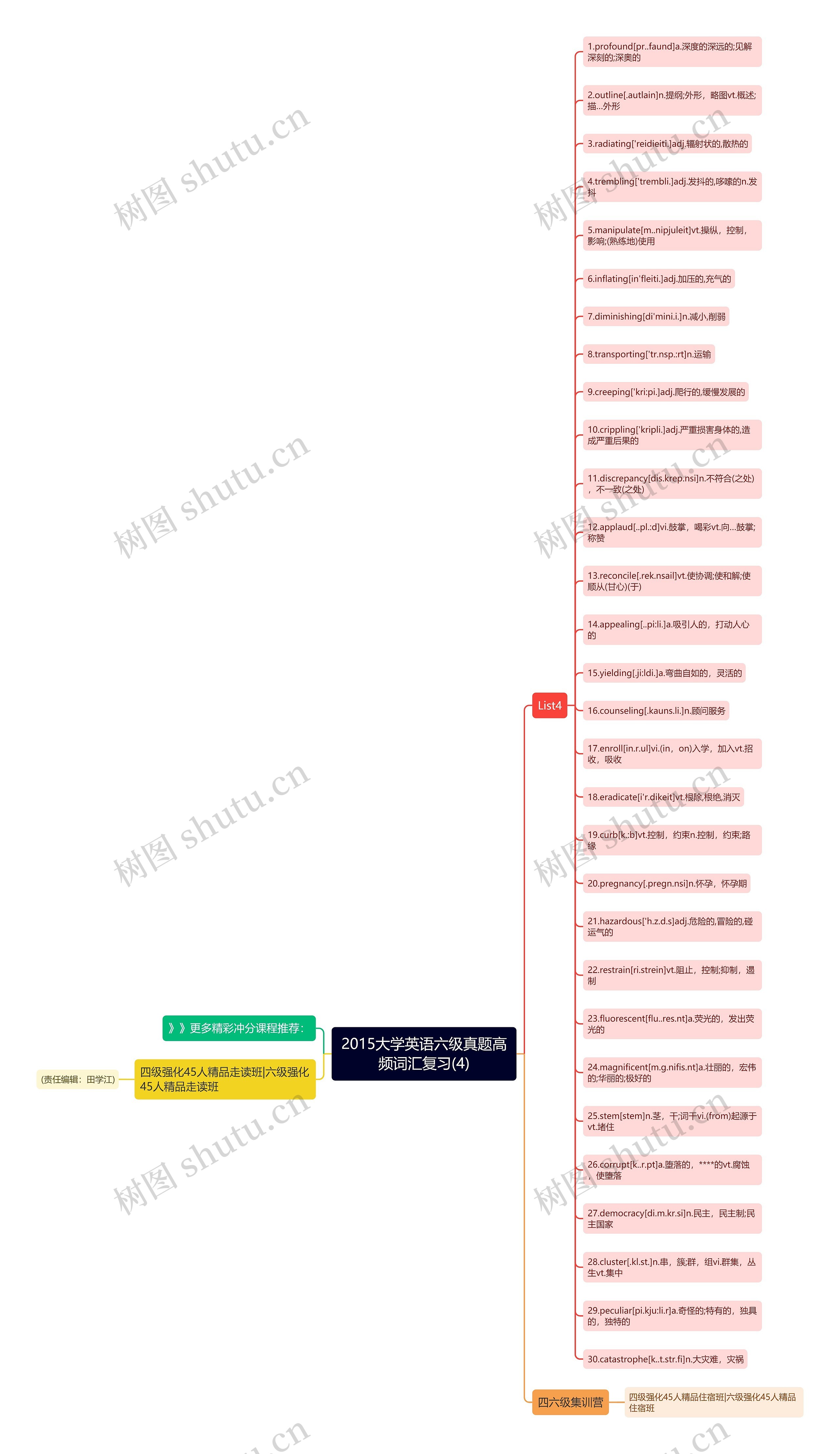 2015大学英语六级真题高频词汇复习(4)思维导图