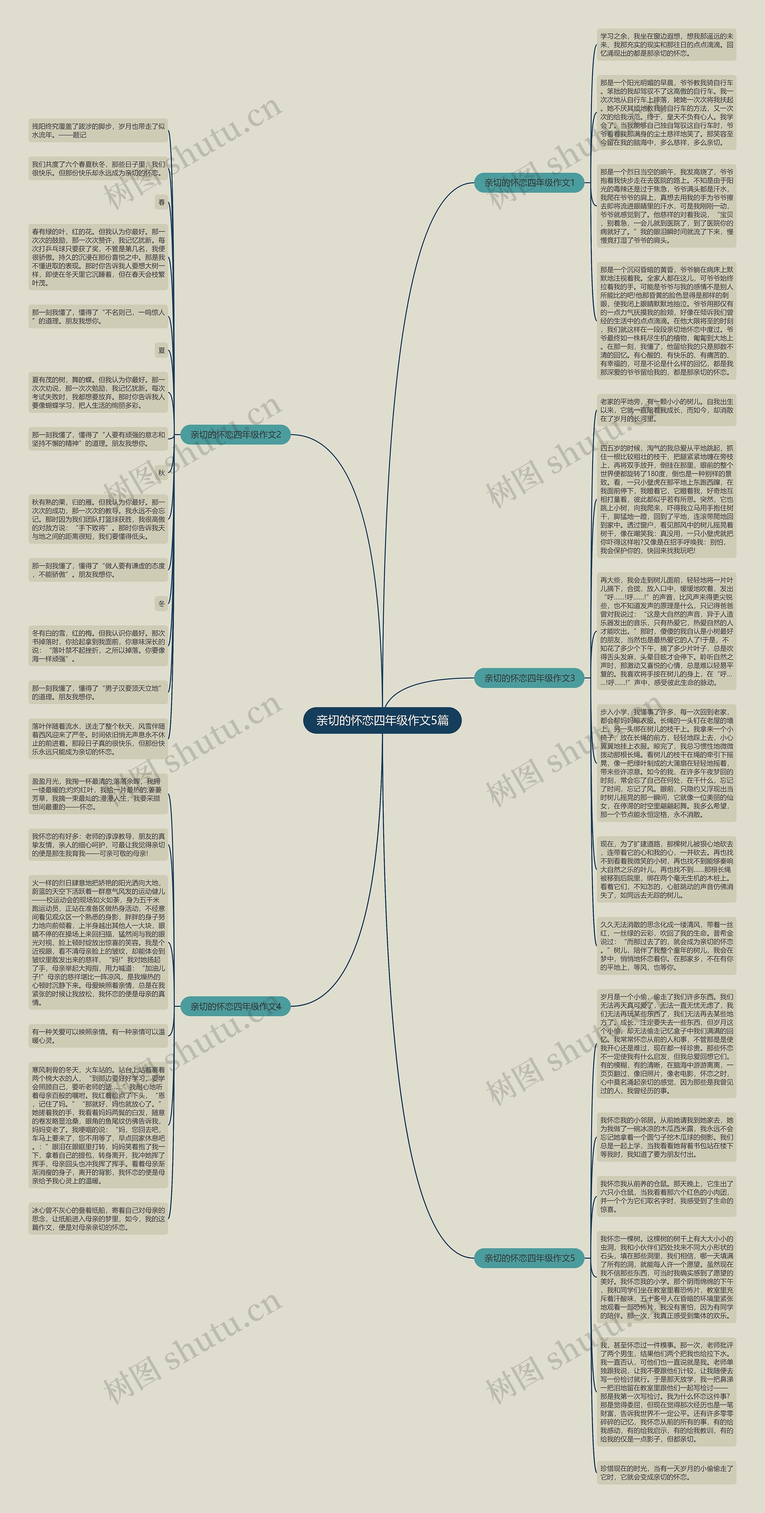 亲切的怀恋四年级作文5篇思维导图