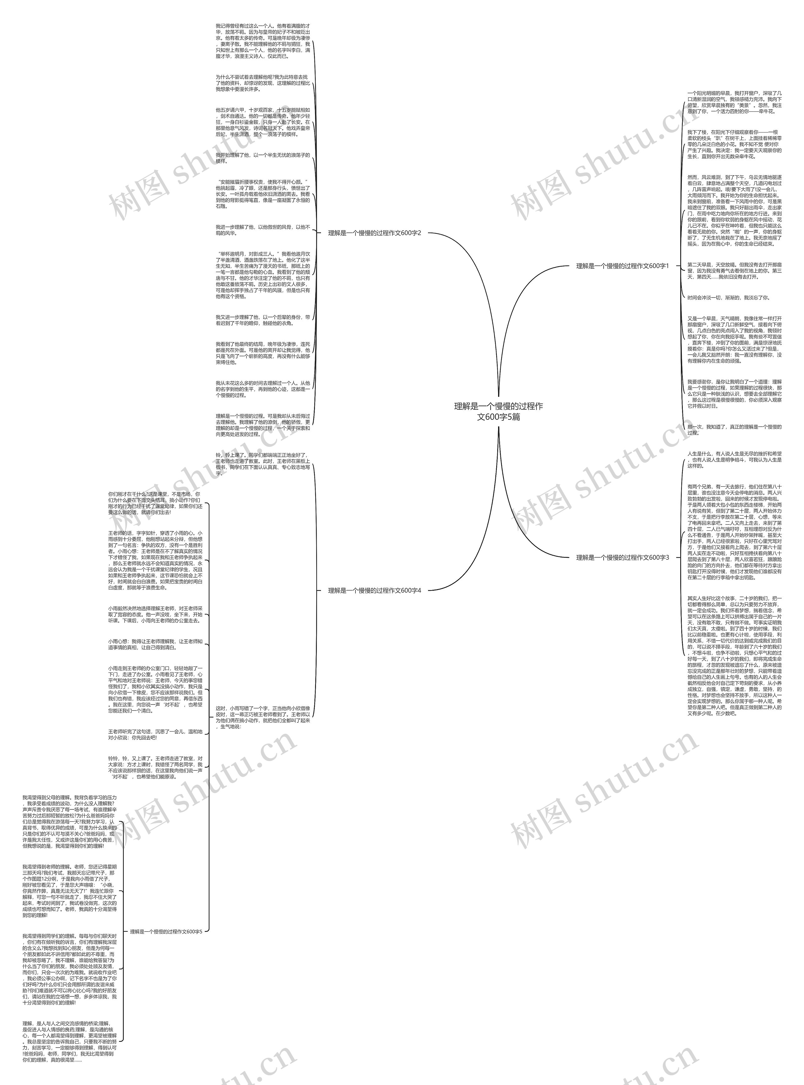 理解是一个慢慢的过程作文600字5篇