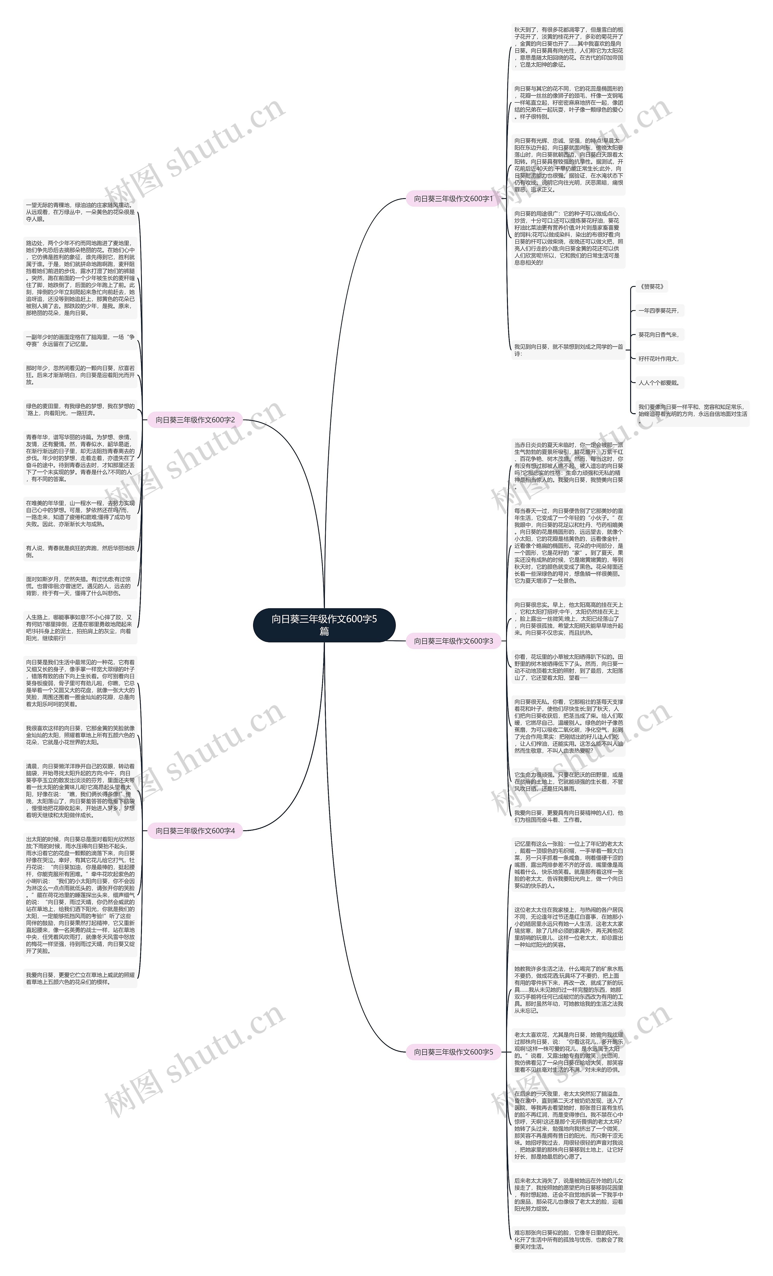 向日葵三年级作文600字5篇思维导图