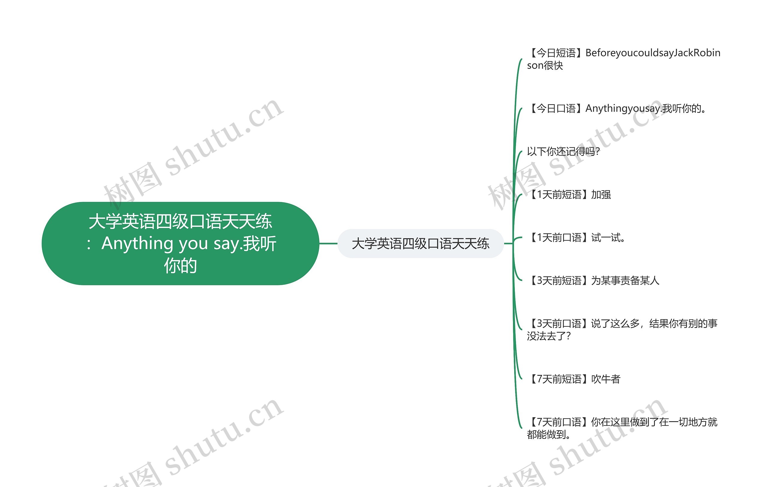 大学英语四级口语天天练：Anything you say.我听你的