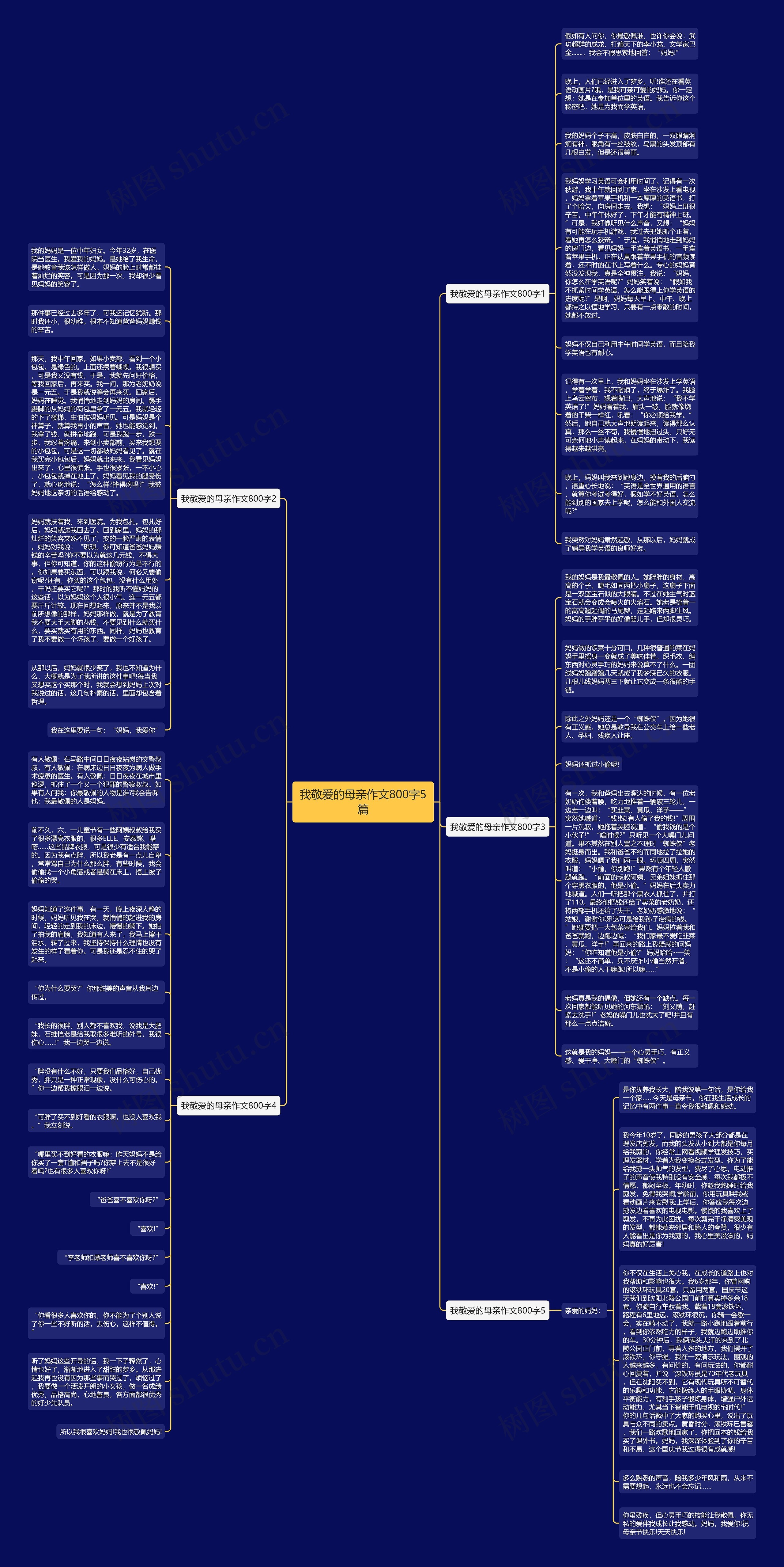 我敬爱的母亲作文800字5篇思维导图