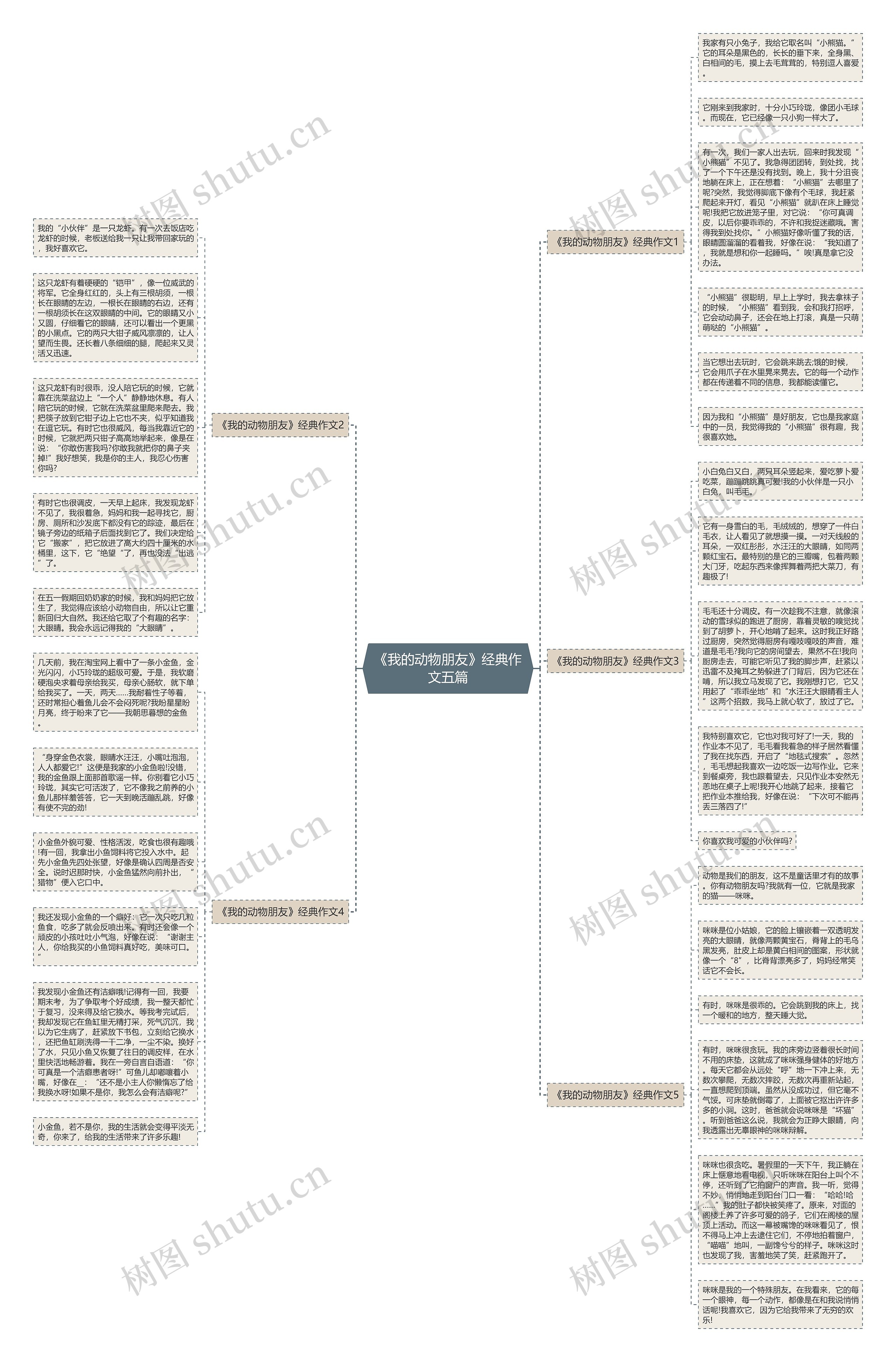 《我的动物朋友》经典作文五篇思维导图