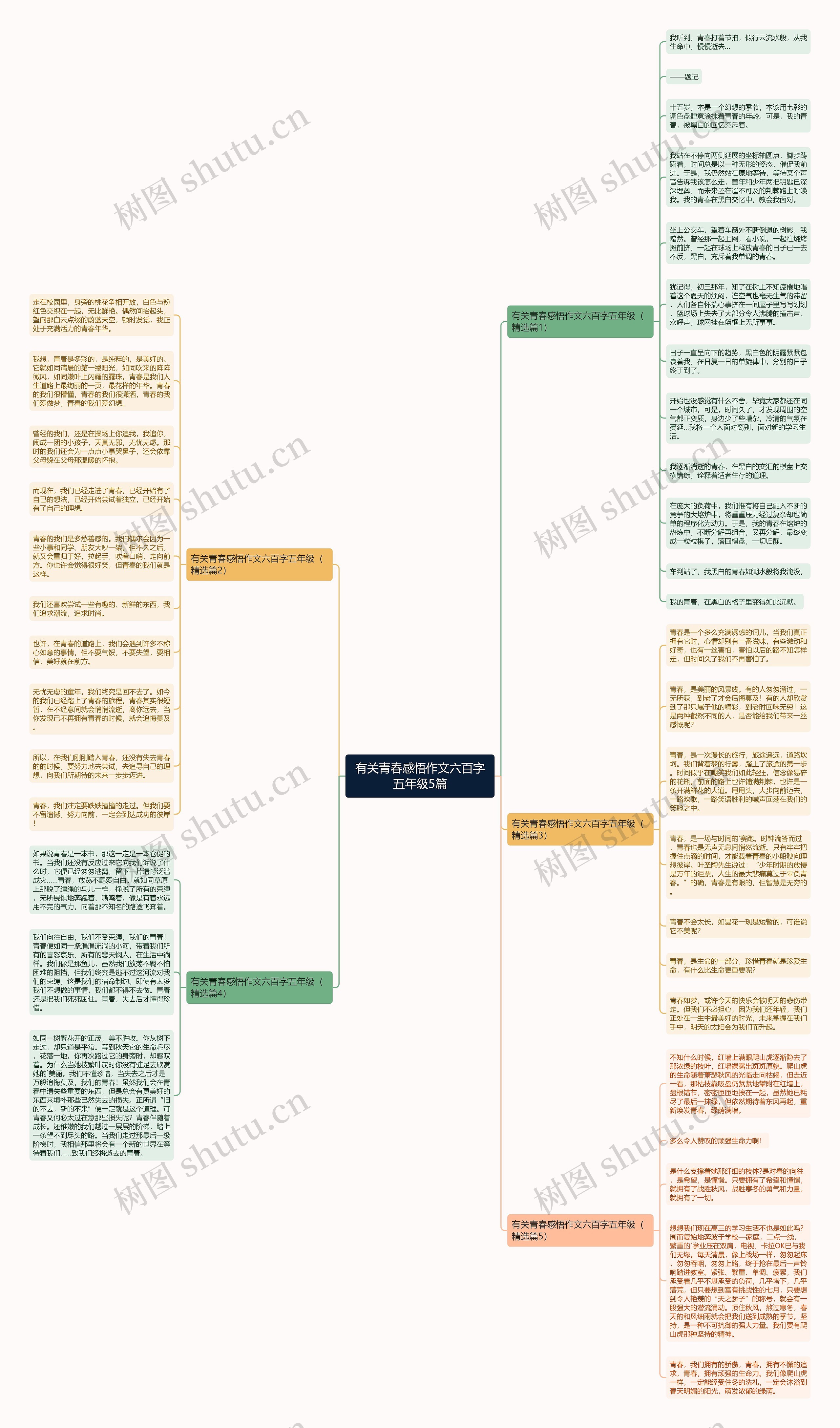 有关青春感悟作文六百字五年级5篇思维导图