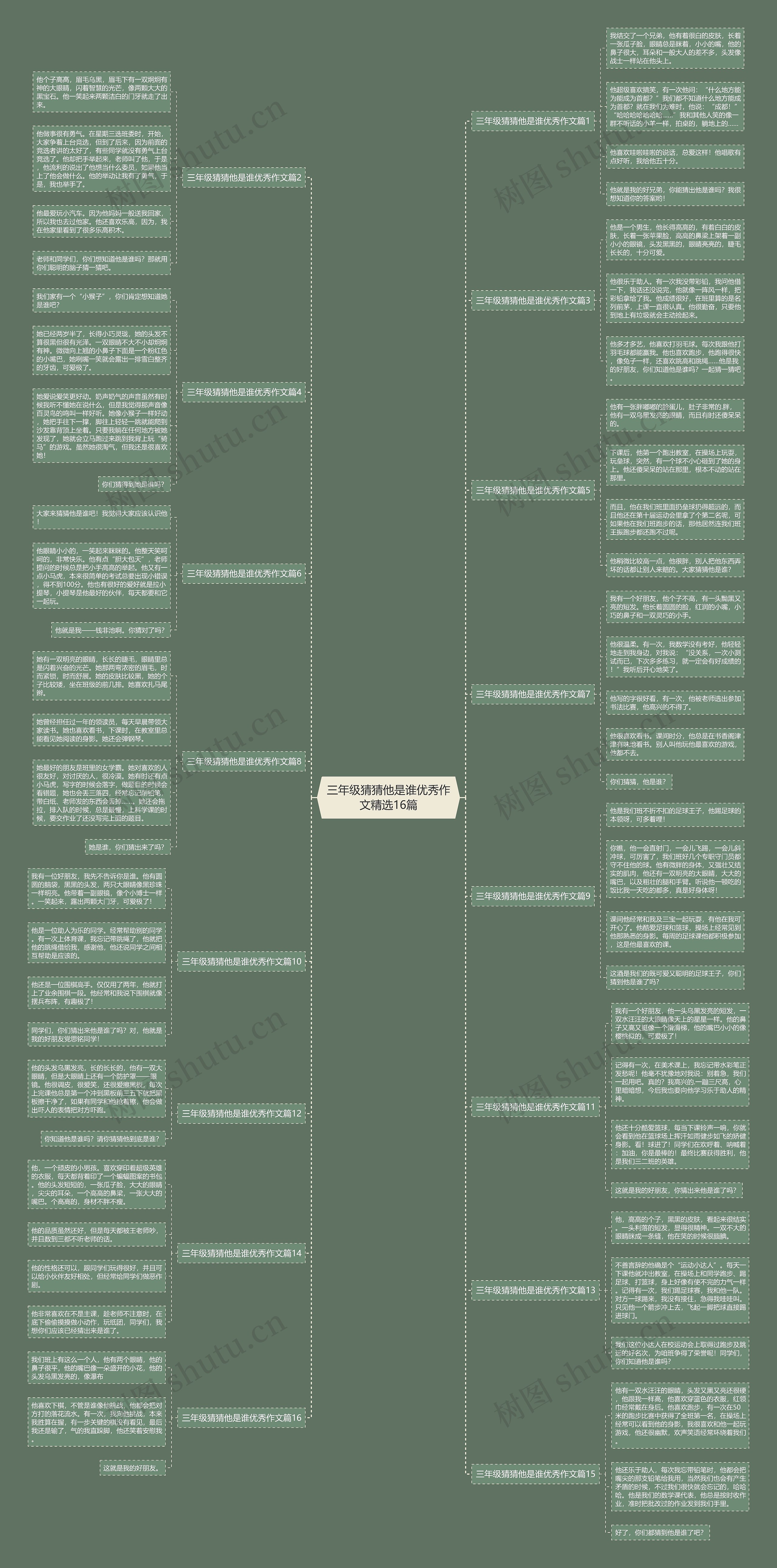 三年级猜猜他是谁优秀作文精选16篇思维导图