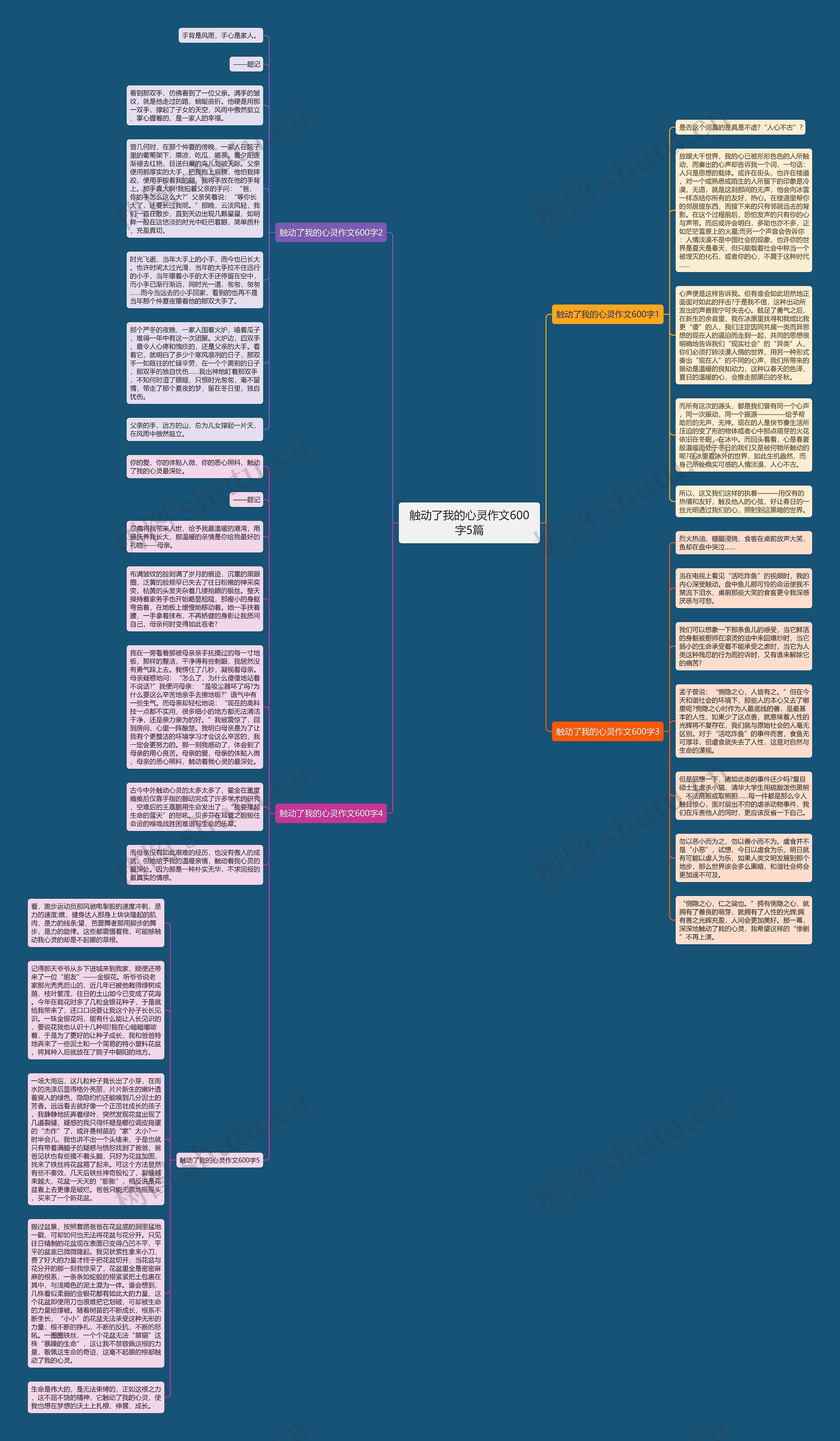 触动了我的心灵作文600字5篇思维导图