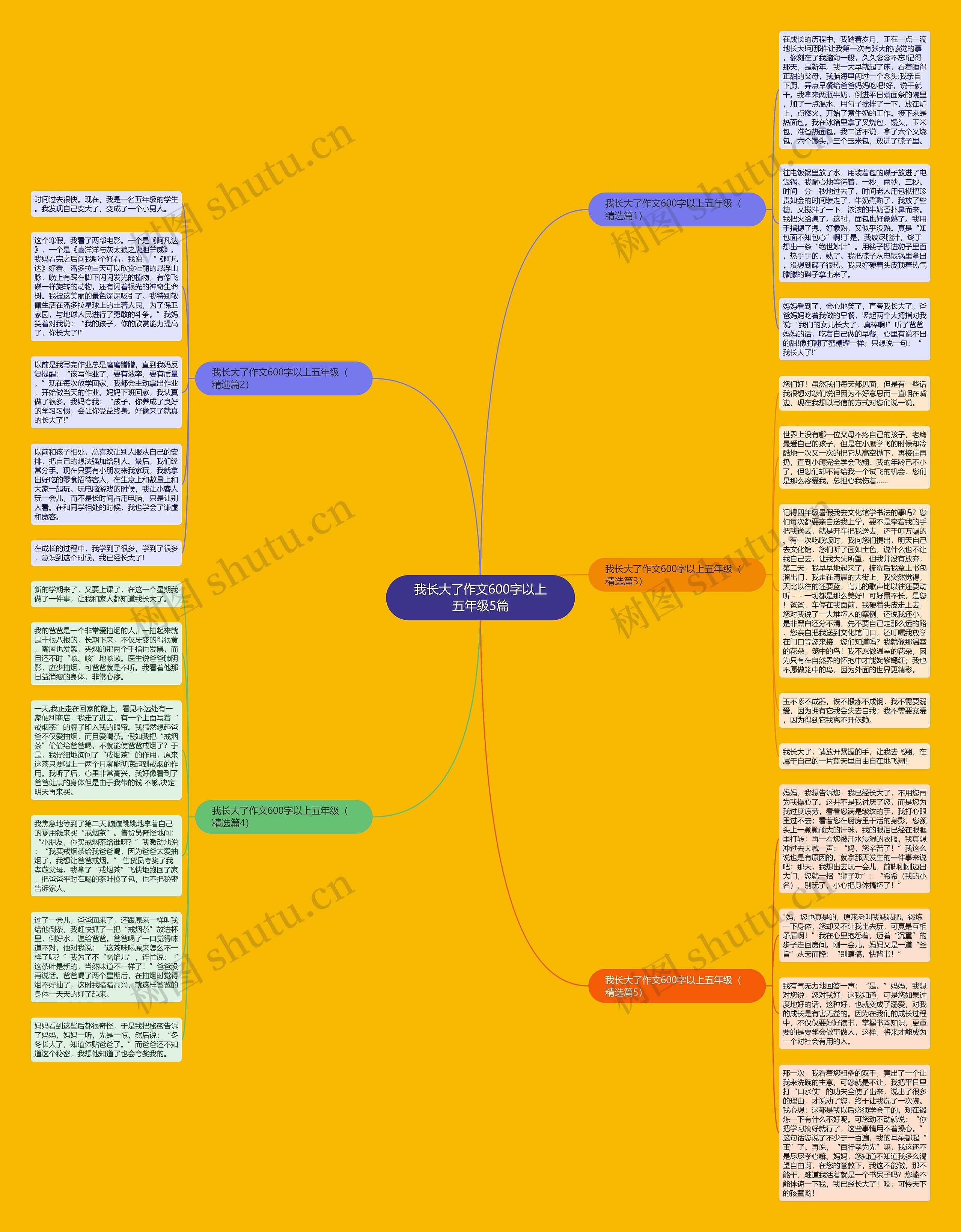 我长大了作文600字以上五年级5篇思维导图