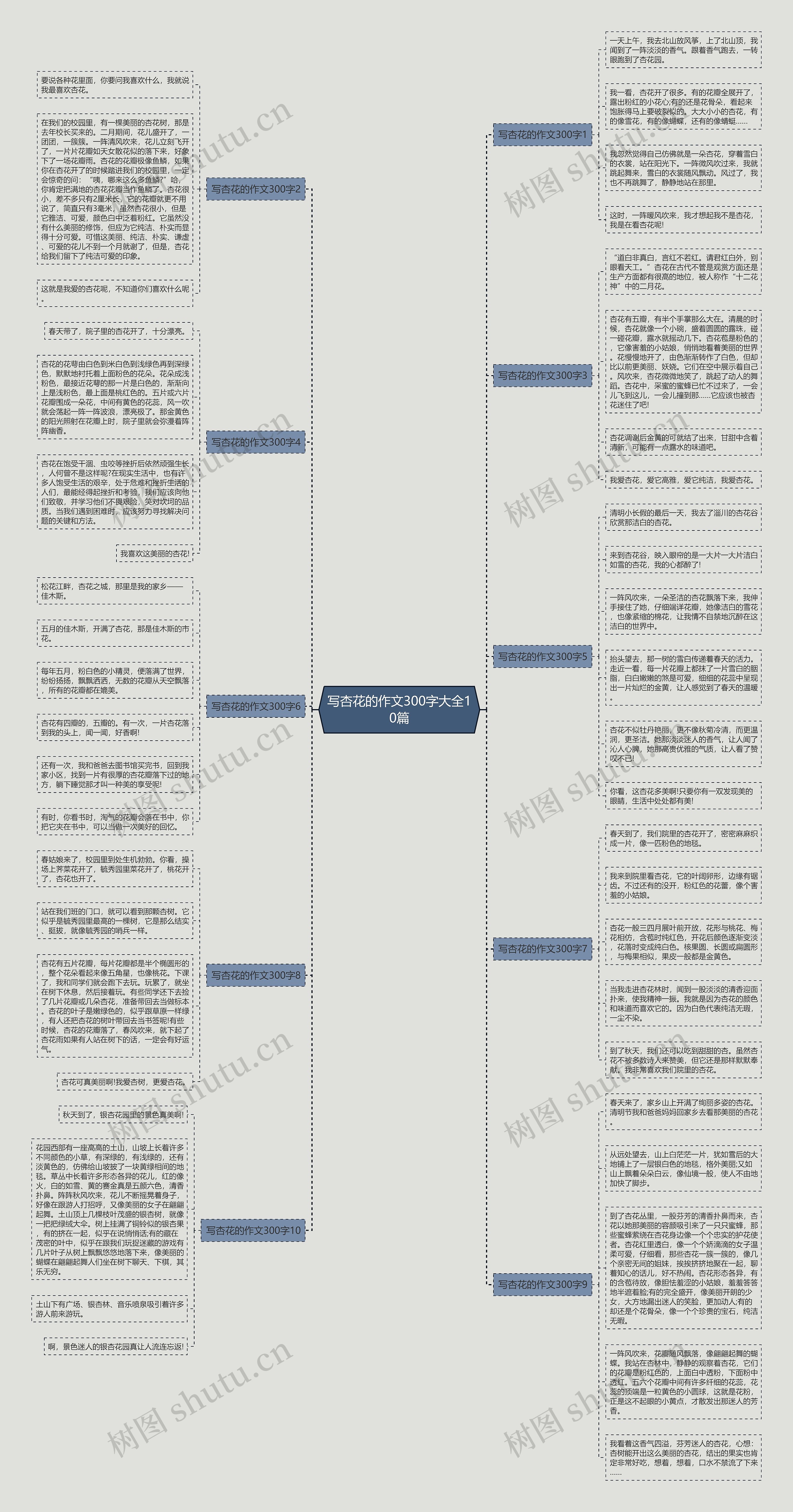 写杏花的作文300字大全10篇思维导图