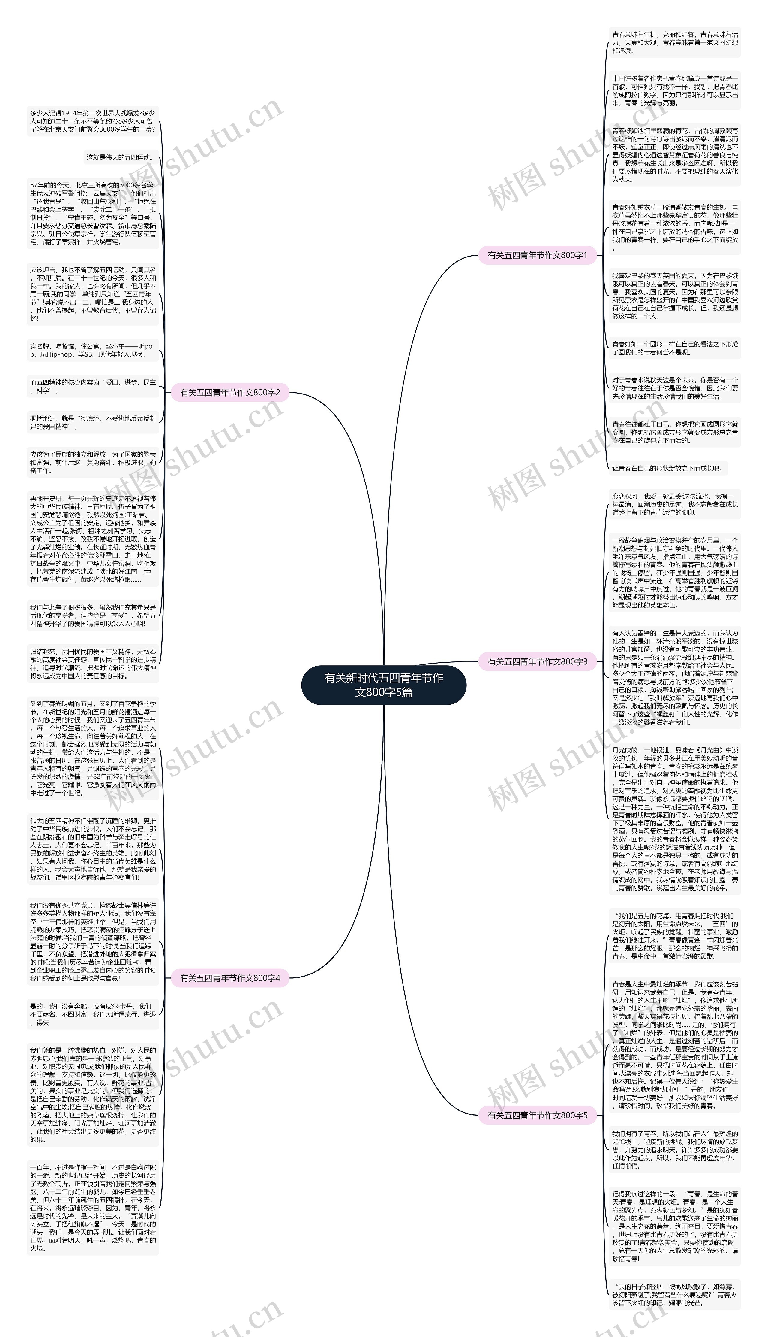 有关新时代五四青年节作文800字5篇思维导图