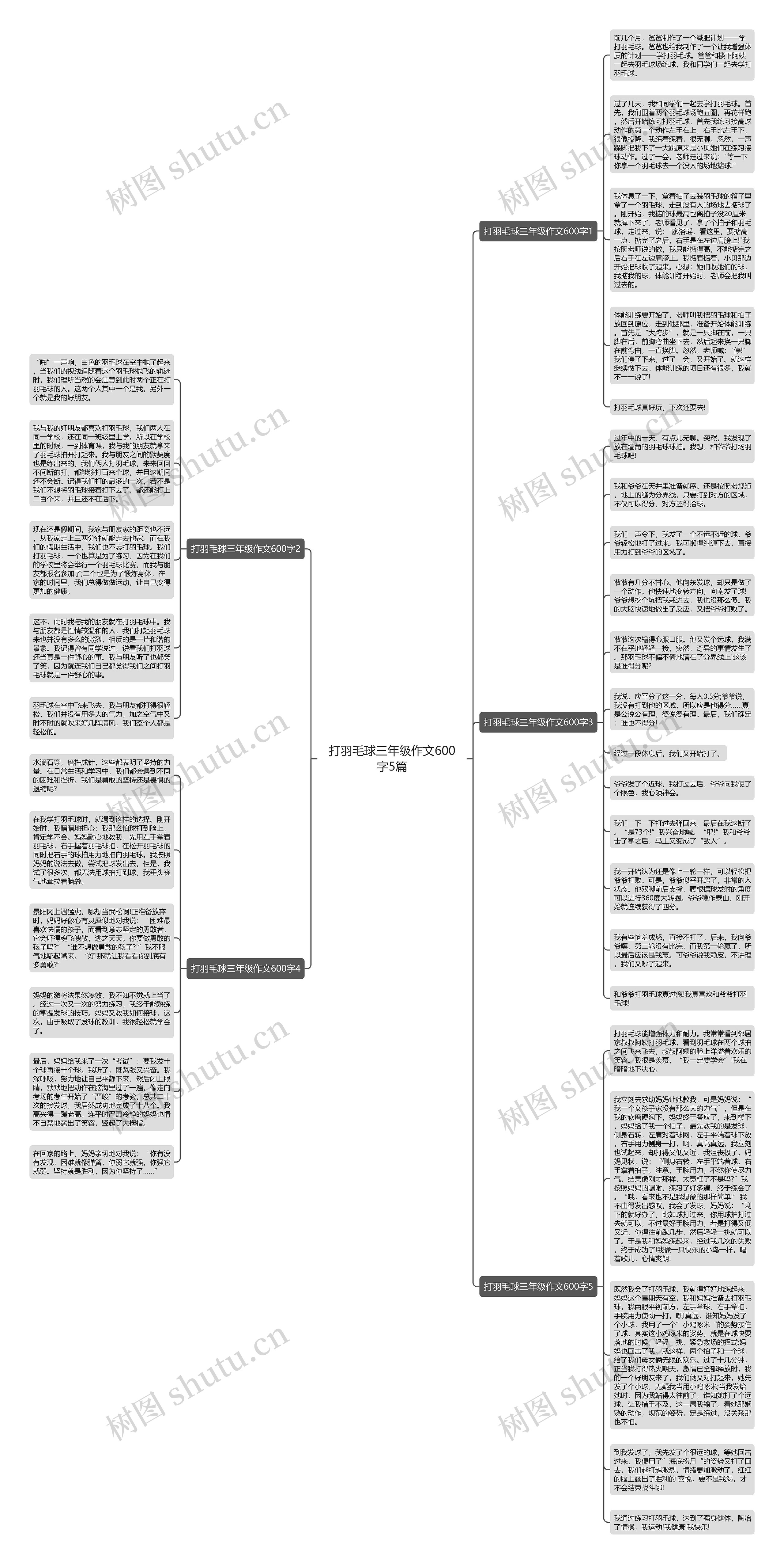 打羽毛球三年级作文600字5篇思维导图