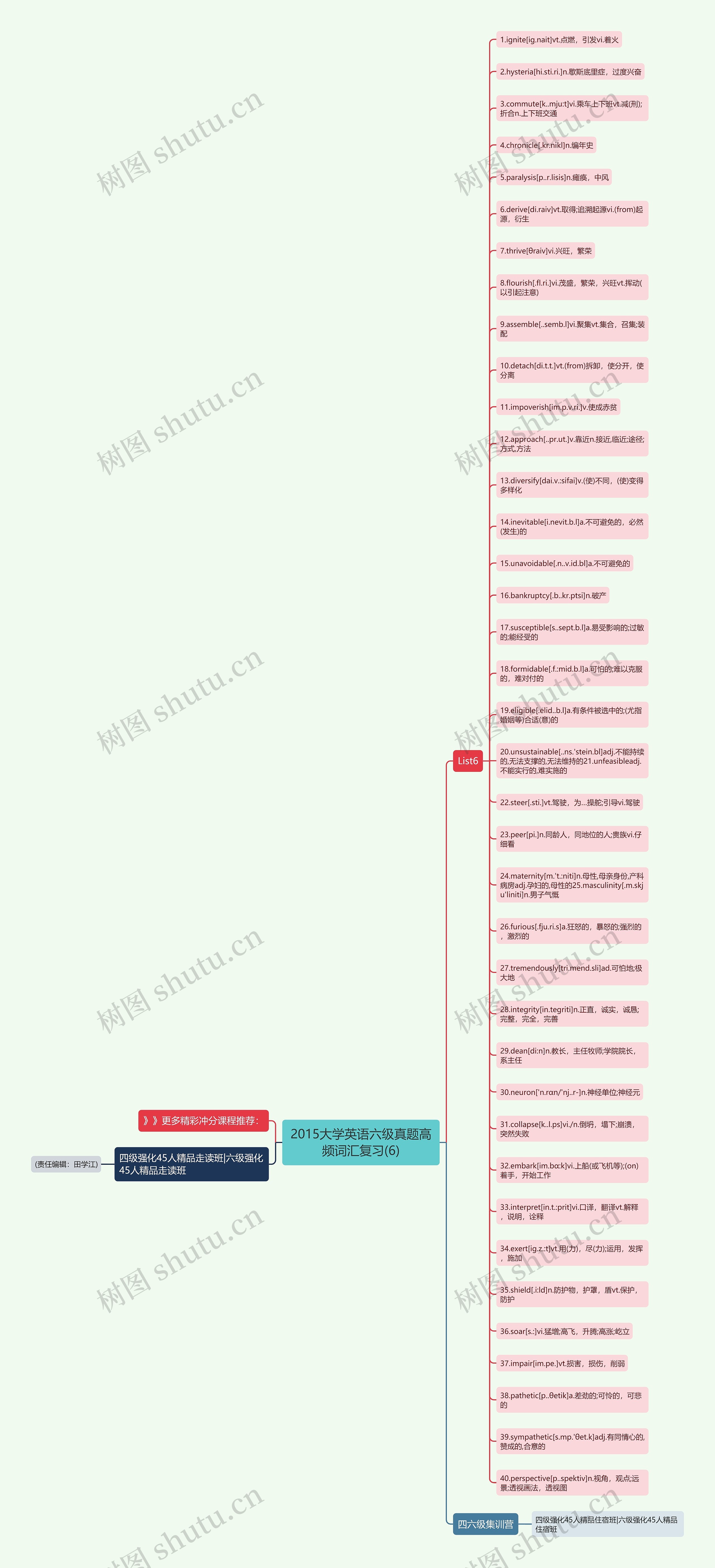 2015大学英语六级真题高频词汇复习(6)思维导图