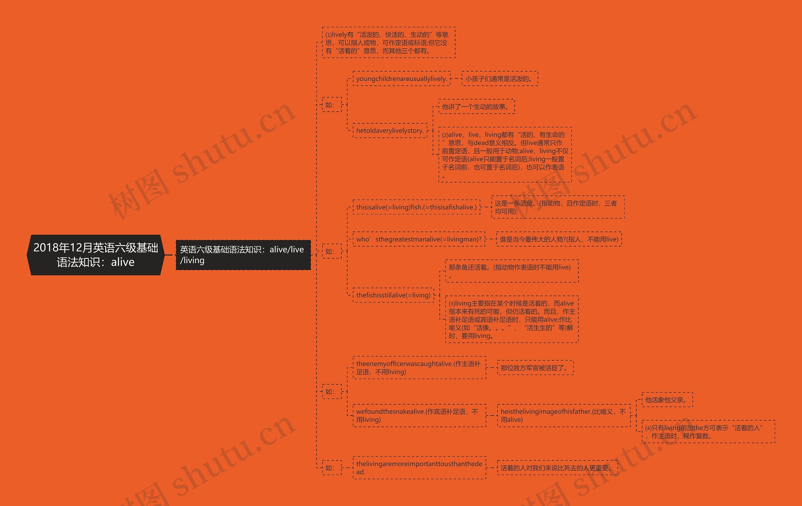 2018年12月英语六级基础语法知识：alive思维导图