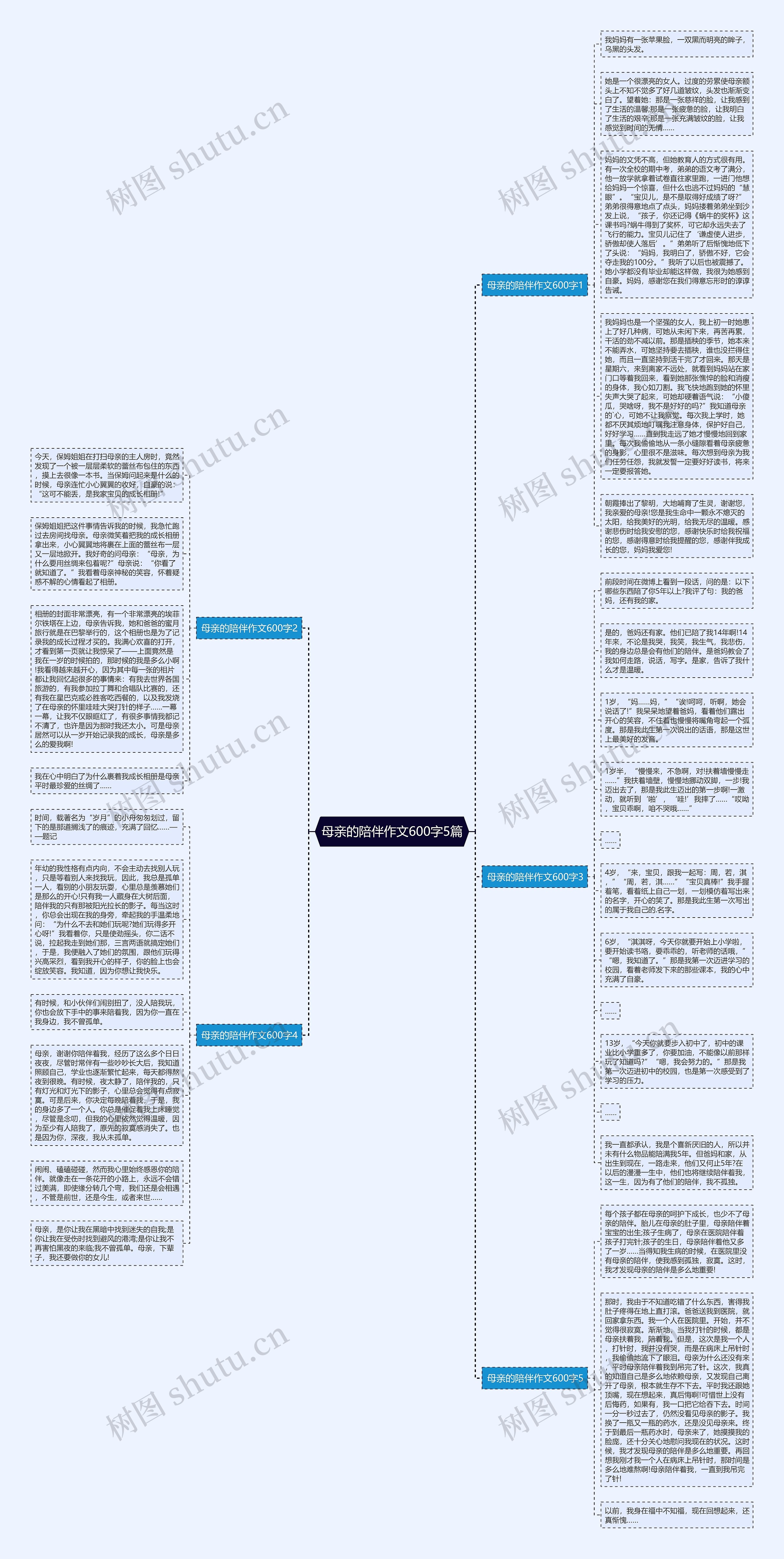 母亲的陪伴作文600字5篇思维导图