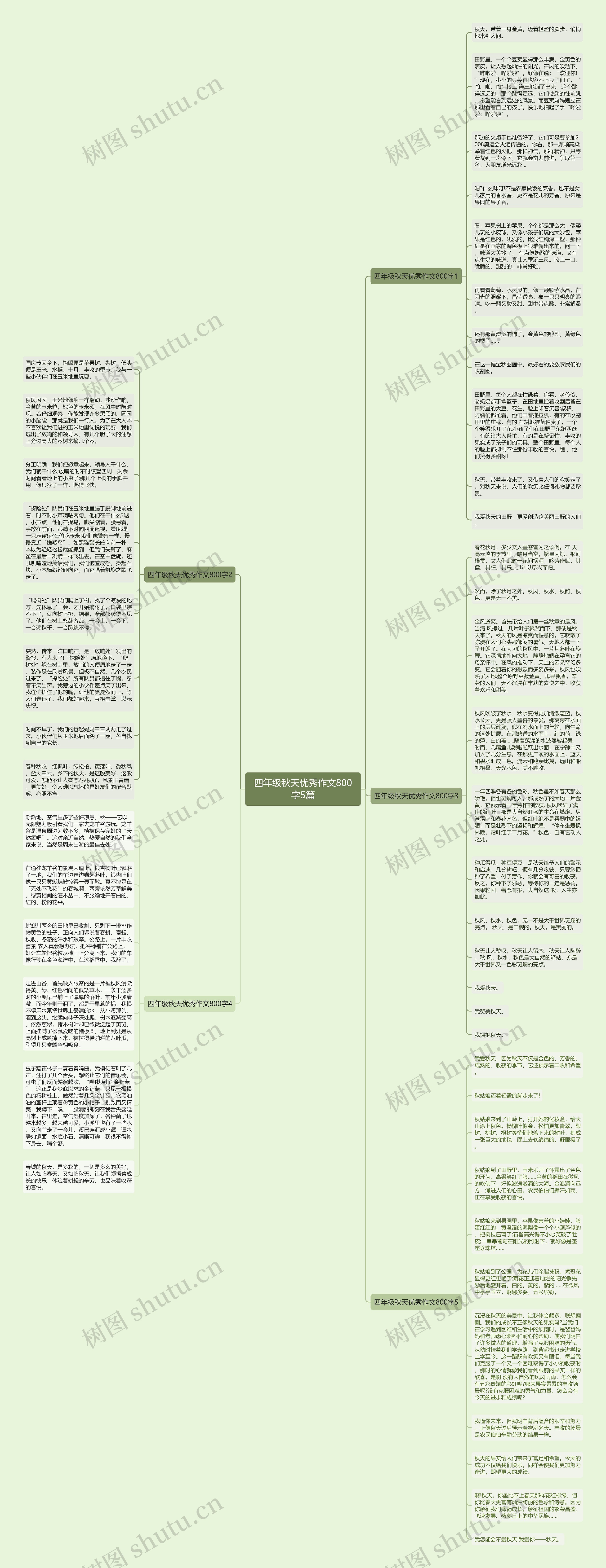 四年级秋天优秀作文800字5篇