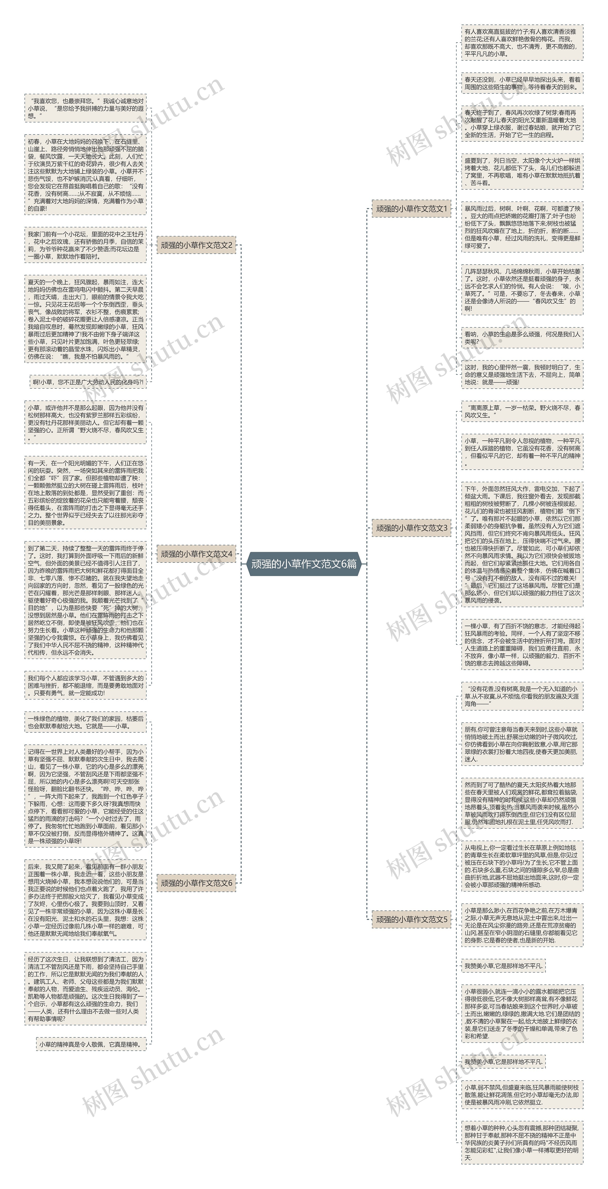 顽强的小草作文范文6篇思维导图