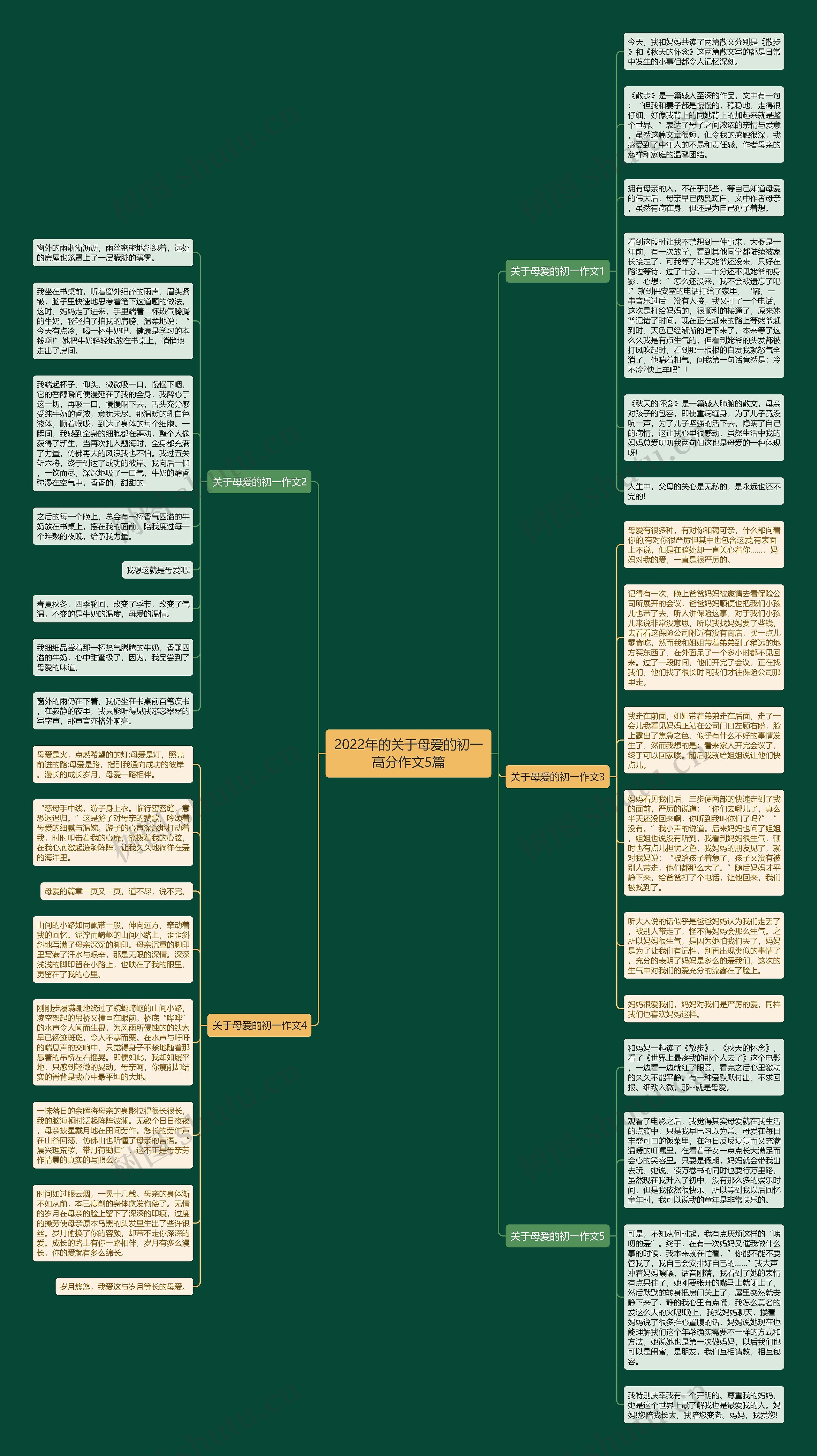 2022年的关于母爱的初一高分作文5篇思维导图