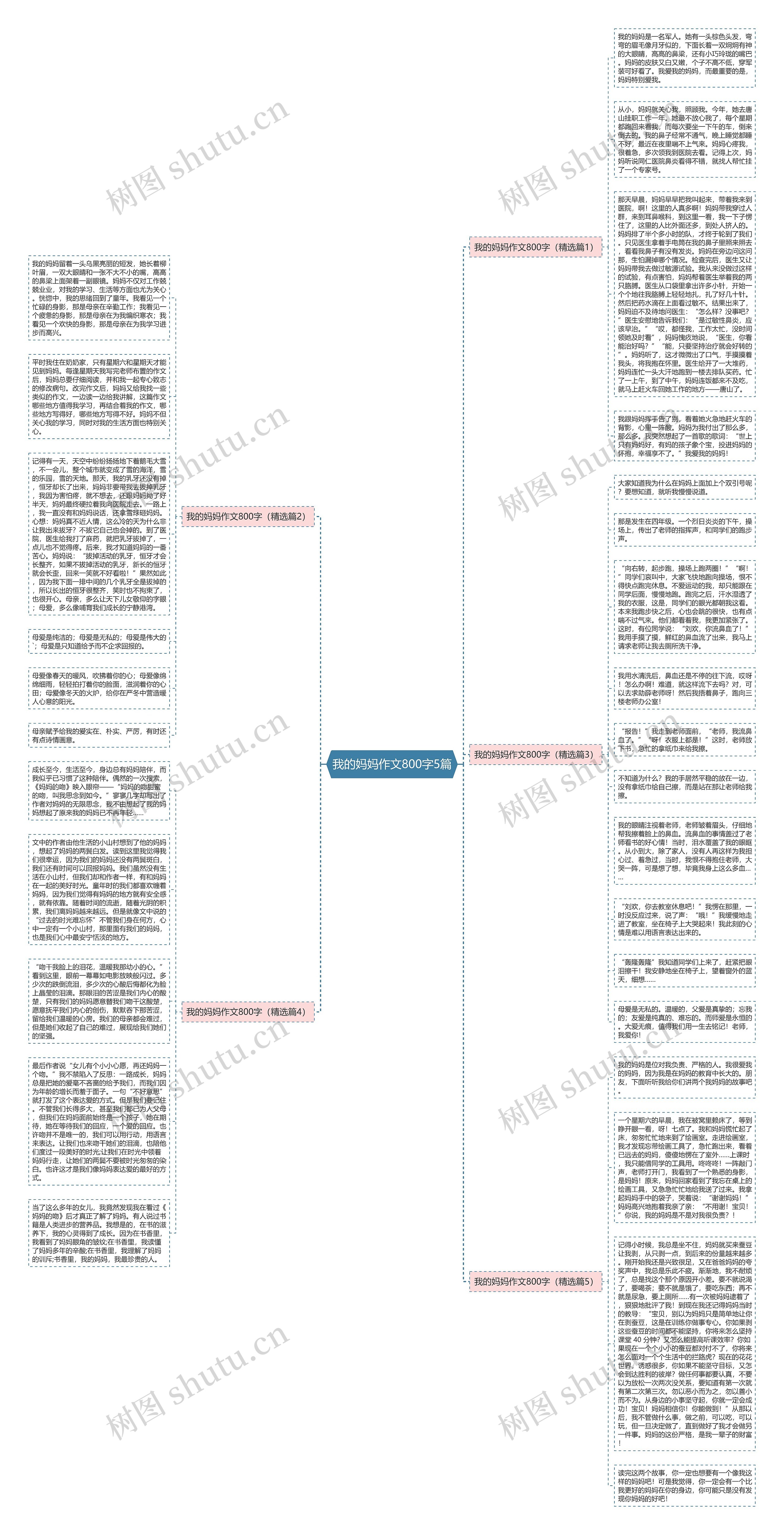 我的妈妈作文800字5篇思维导图
