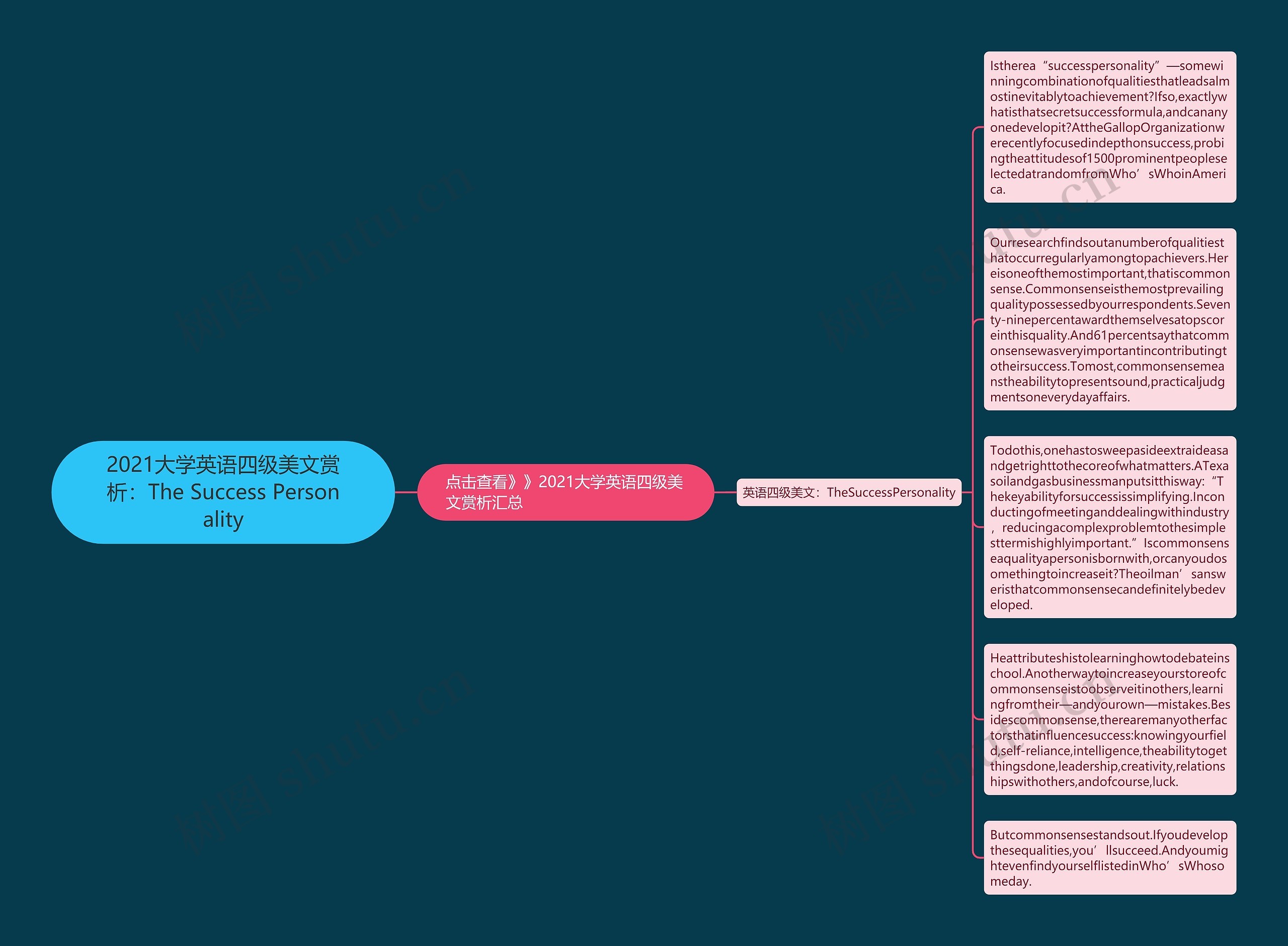 2021大学英语四级美文赏析：The Success Personality思维导图