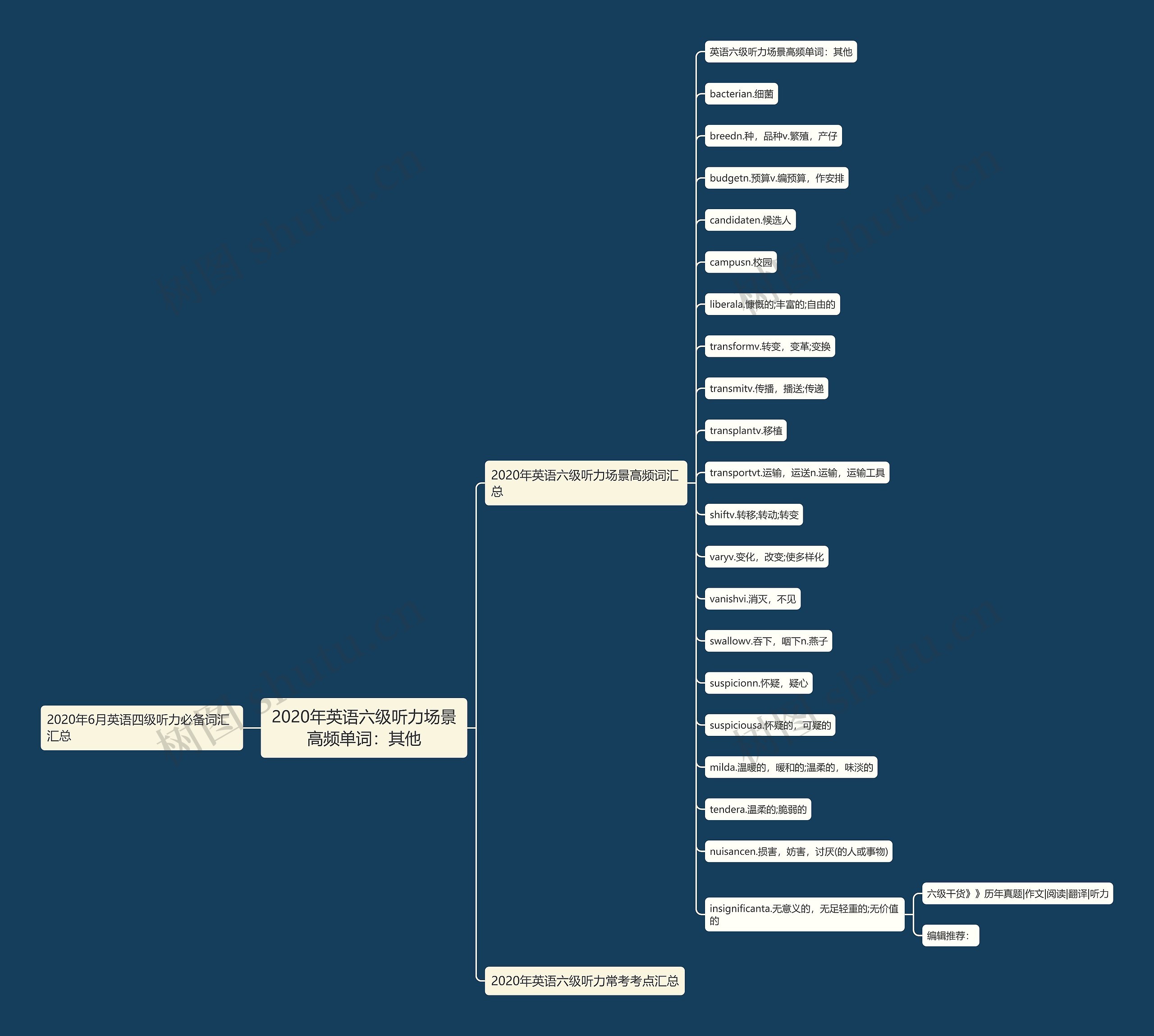 2020年英语六级听力场景高频单词：其他思维导图