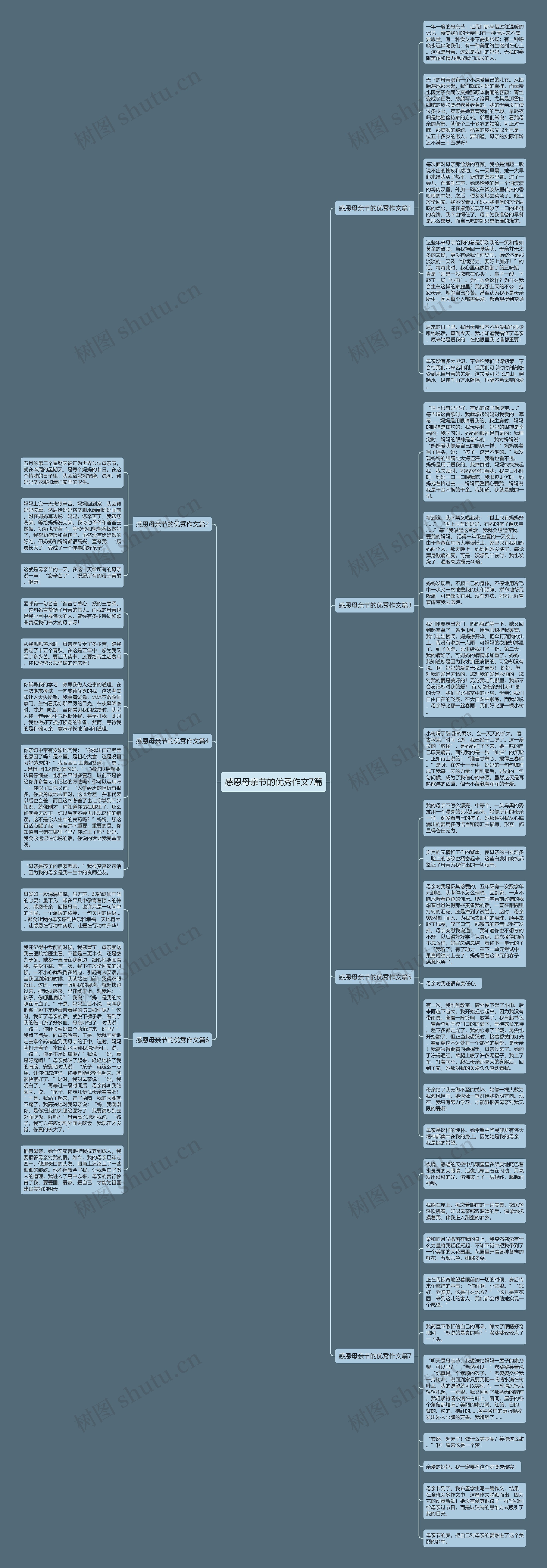 感恩母亲节的优秀作文7篇思维导图
