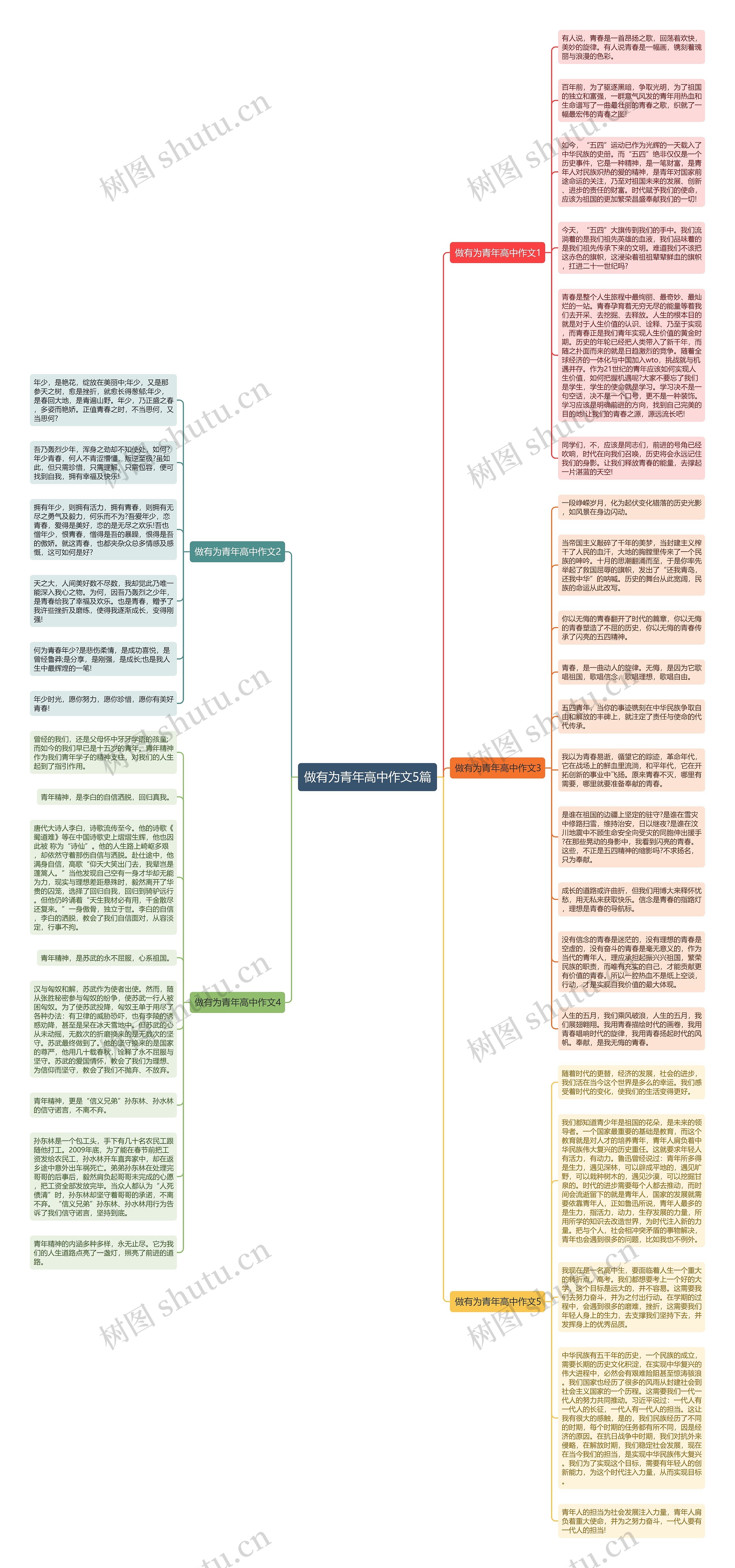 做有为青年高中作文5篇思维导图