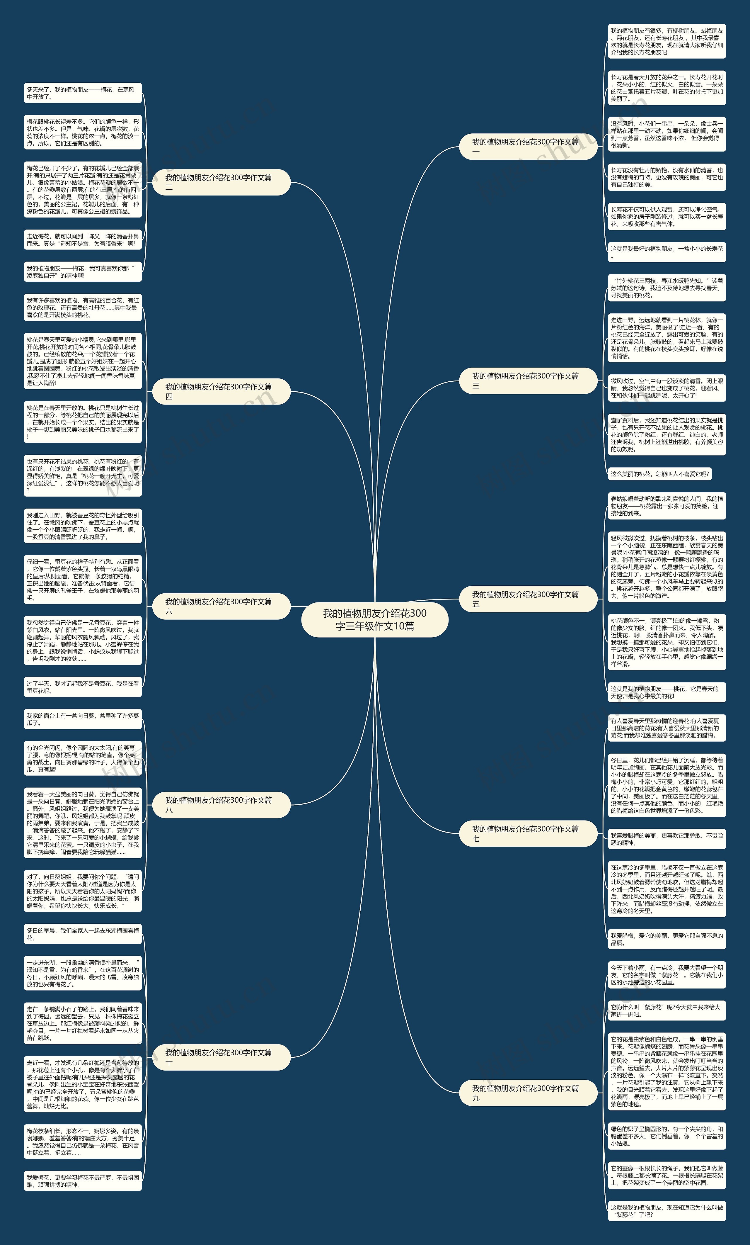 我的植物朋友介绍花300字三年级作文10篇思维导图