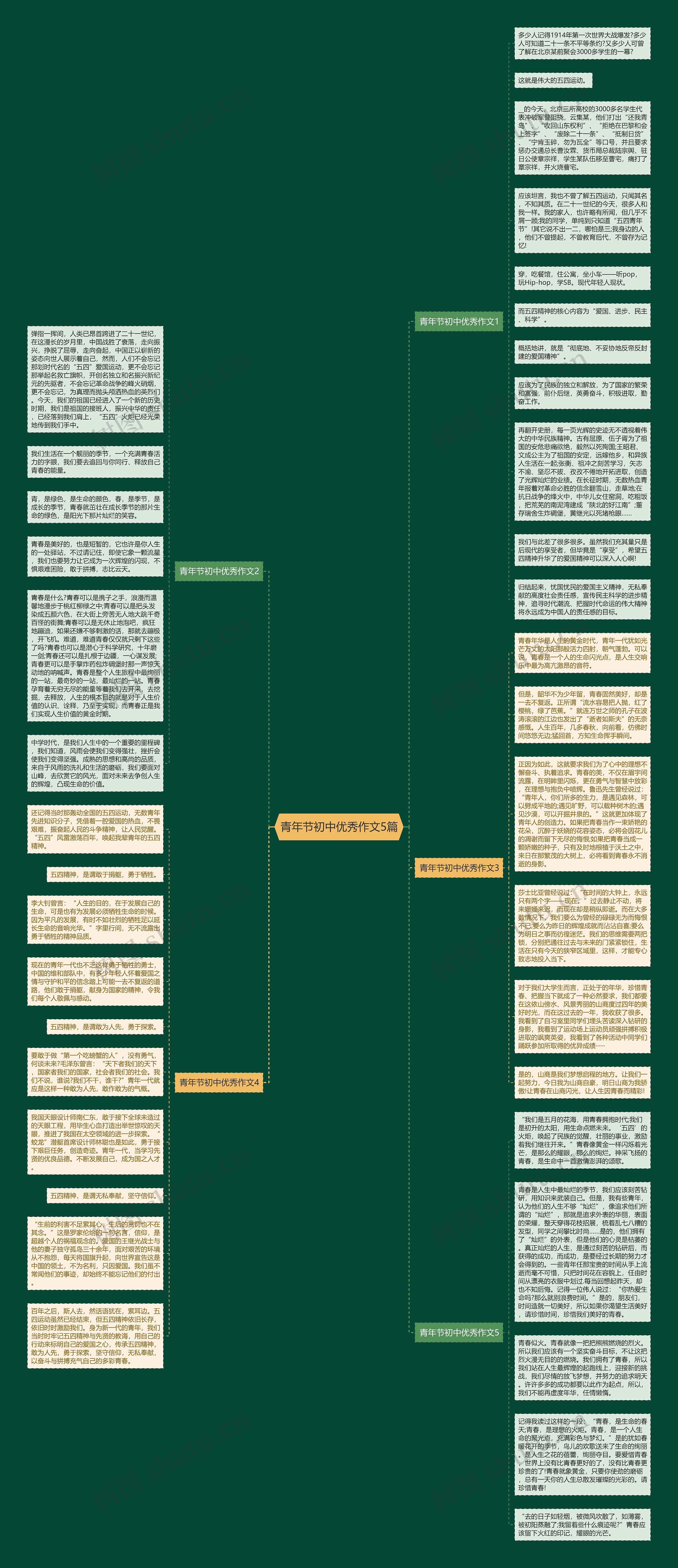 青年节初中优秀作文5篇思维导图
