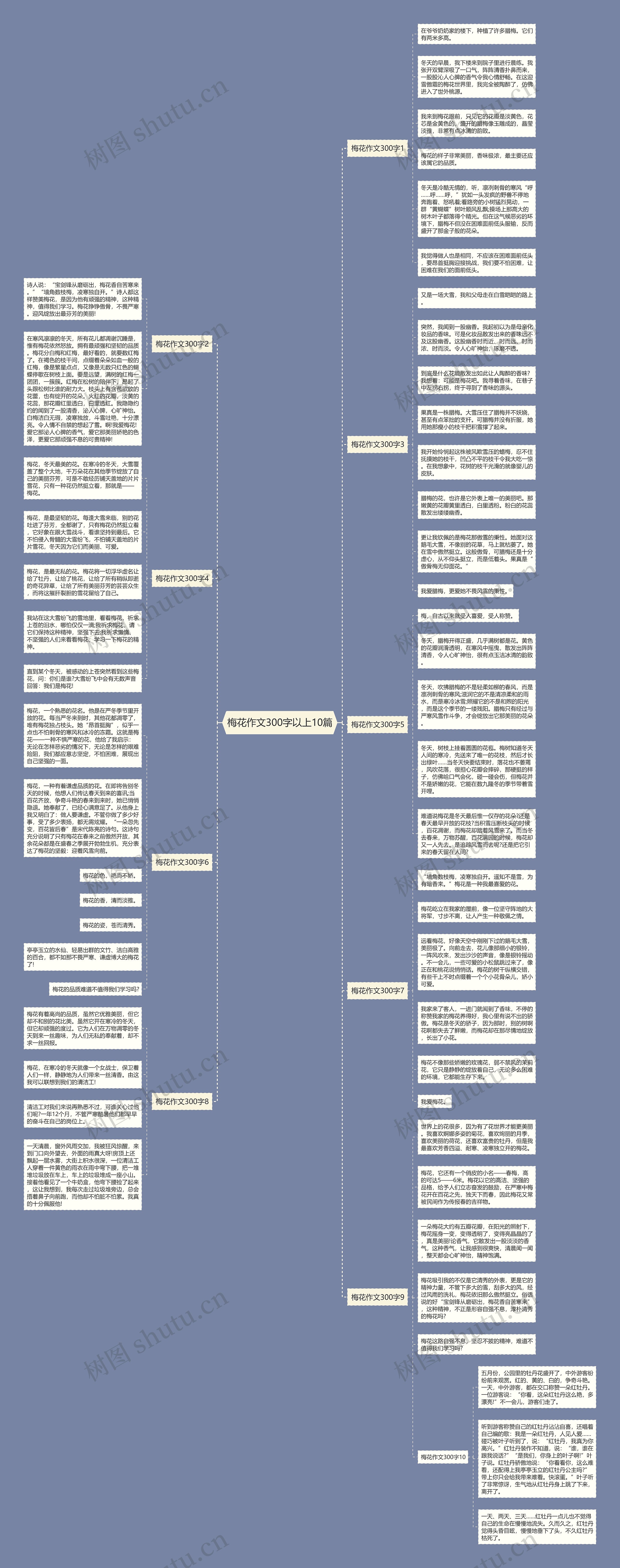 梅花作文300字以上10篇思维导图