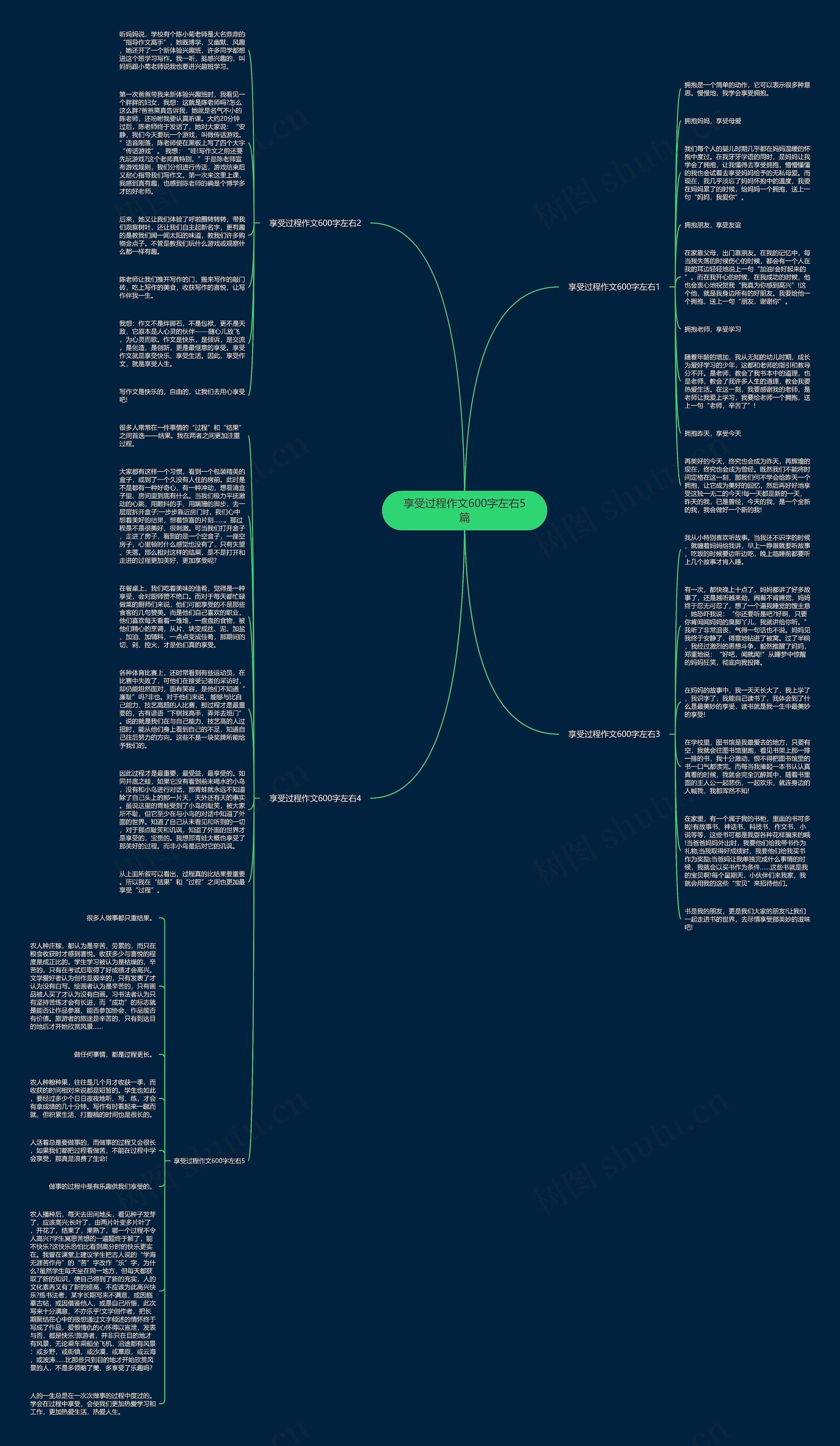 享受过程作文600字左右5篇思维导图