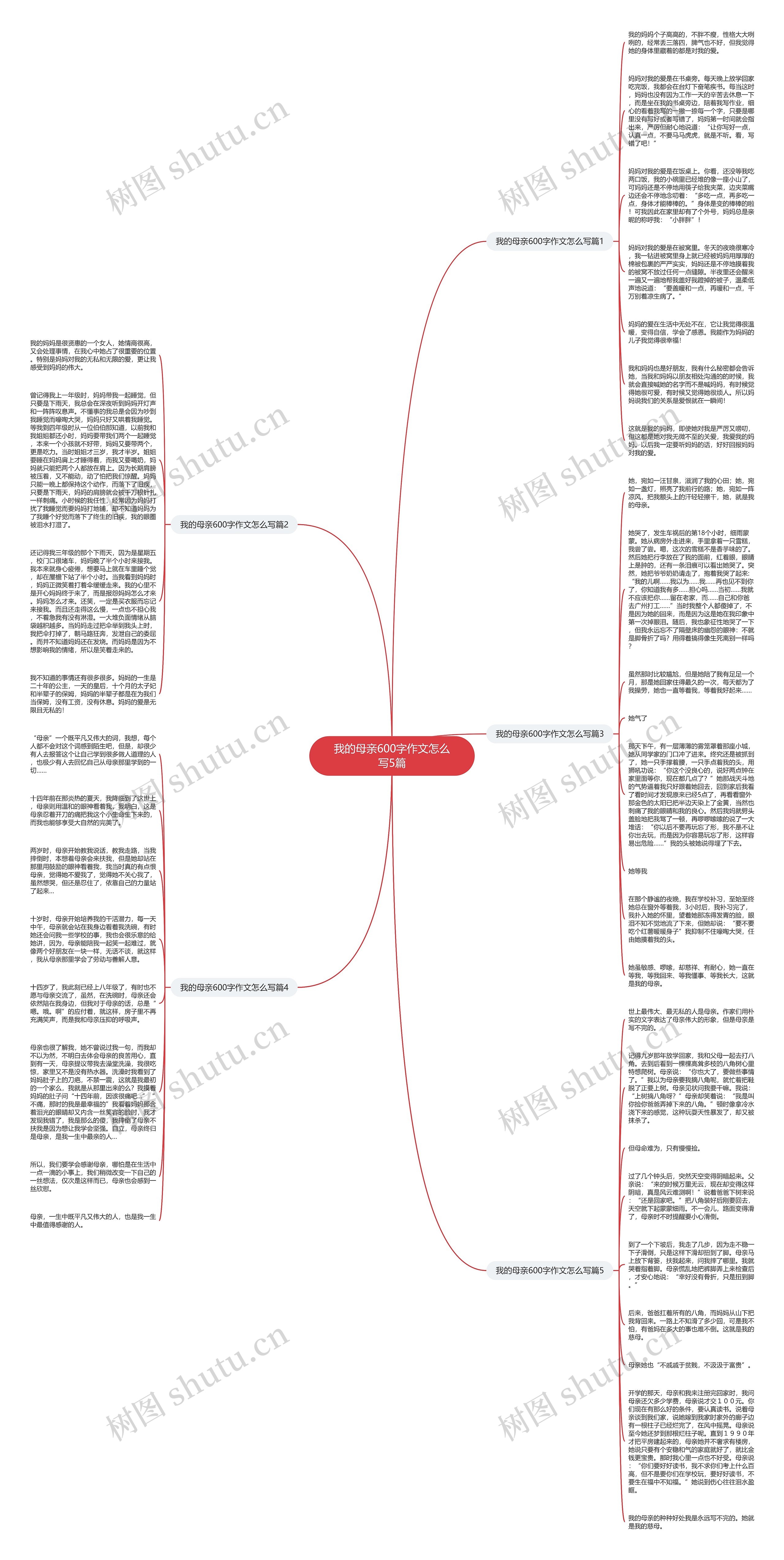 我的母亲600字作文怎么写5篇思维导图