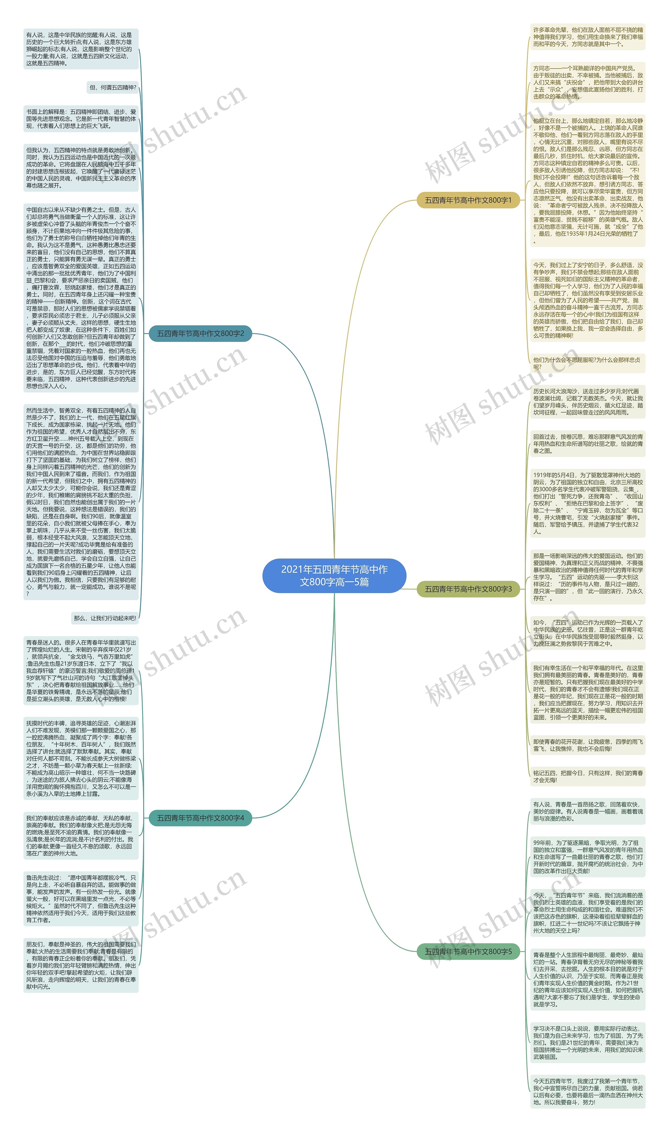 2021年五四青年节高中作文800字高一5篇思维导图